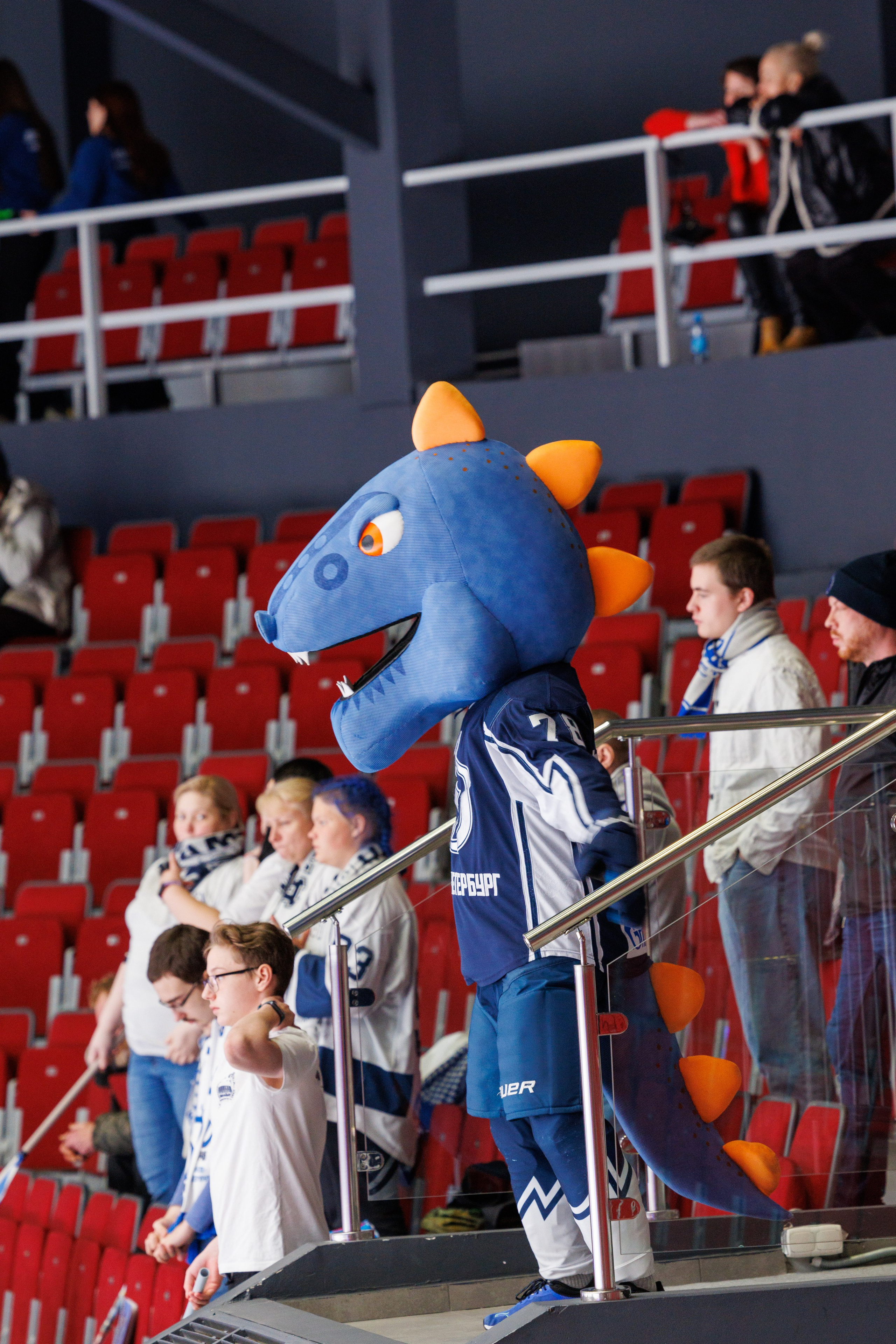 МХК Динамо (СПб) — МХК Кристалл. Фотограф Александр Заломаев