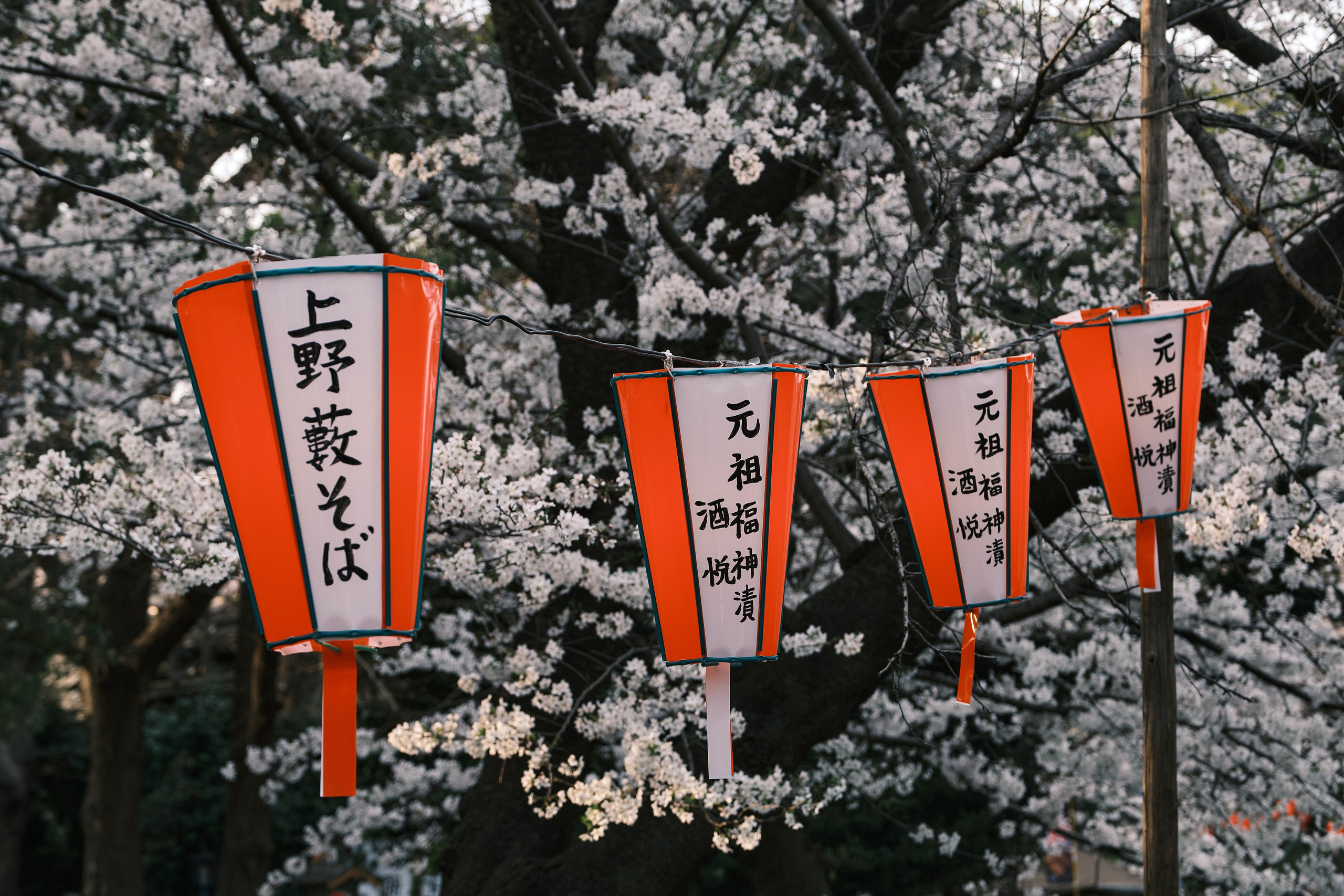 Japan / Osaka≫Kyoto≫Tokyo. Aleksandr Kobtsev