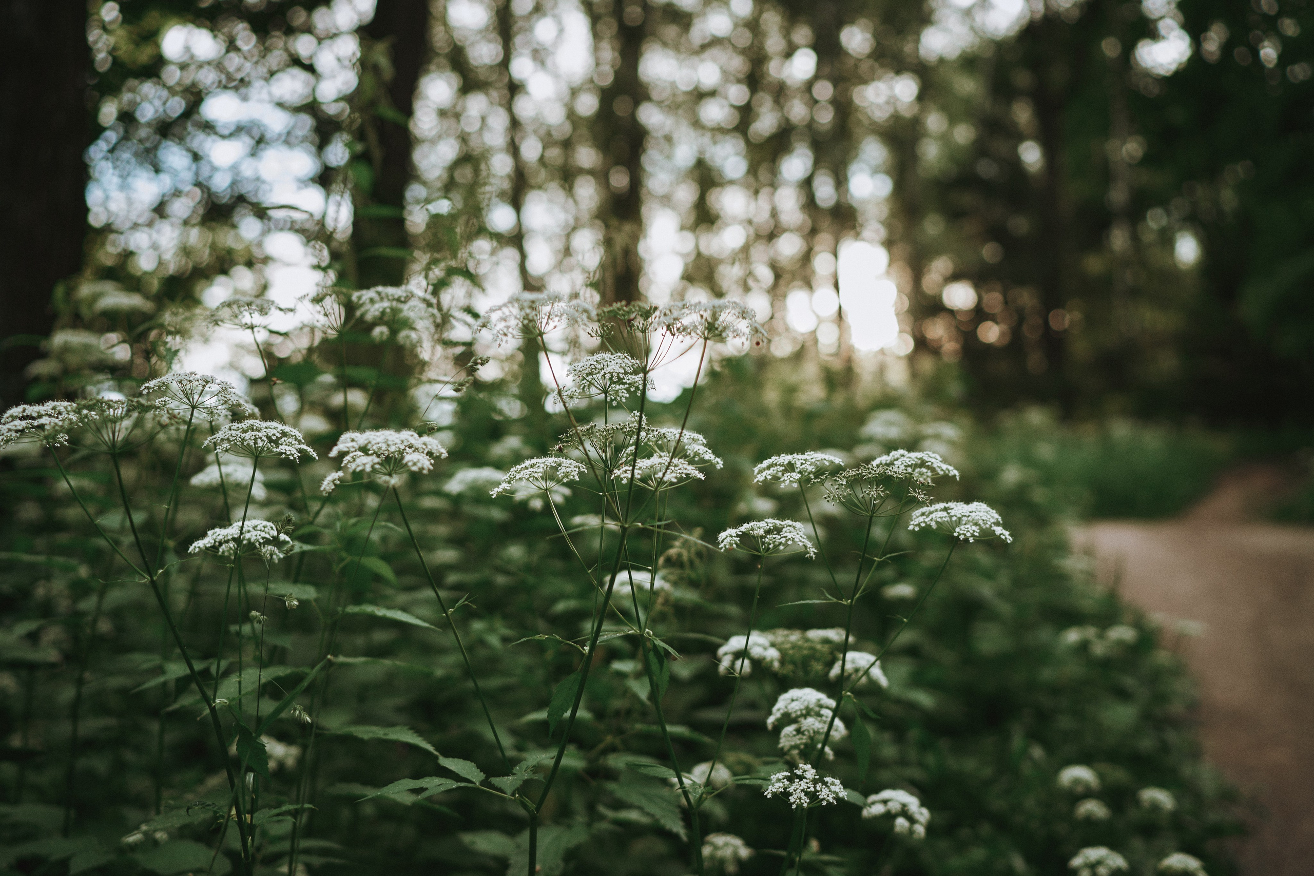 Катя и малыш. Фотограф в Санкт-Петербурге | Аня Маленчук