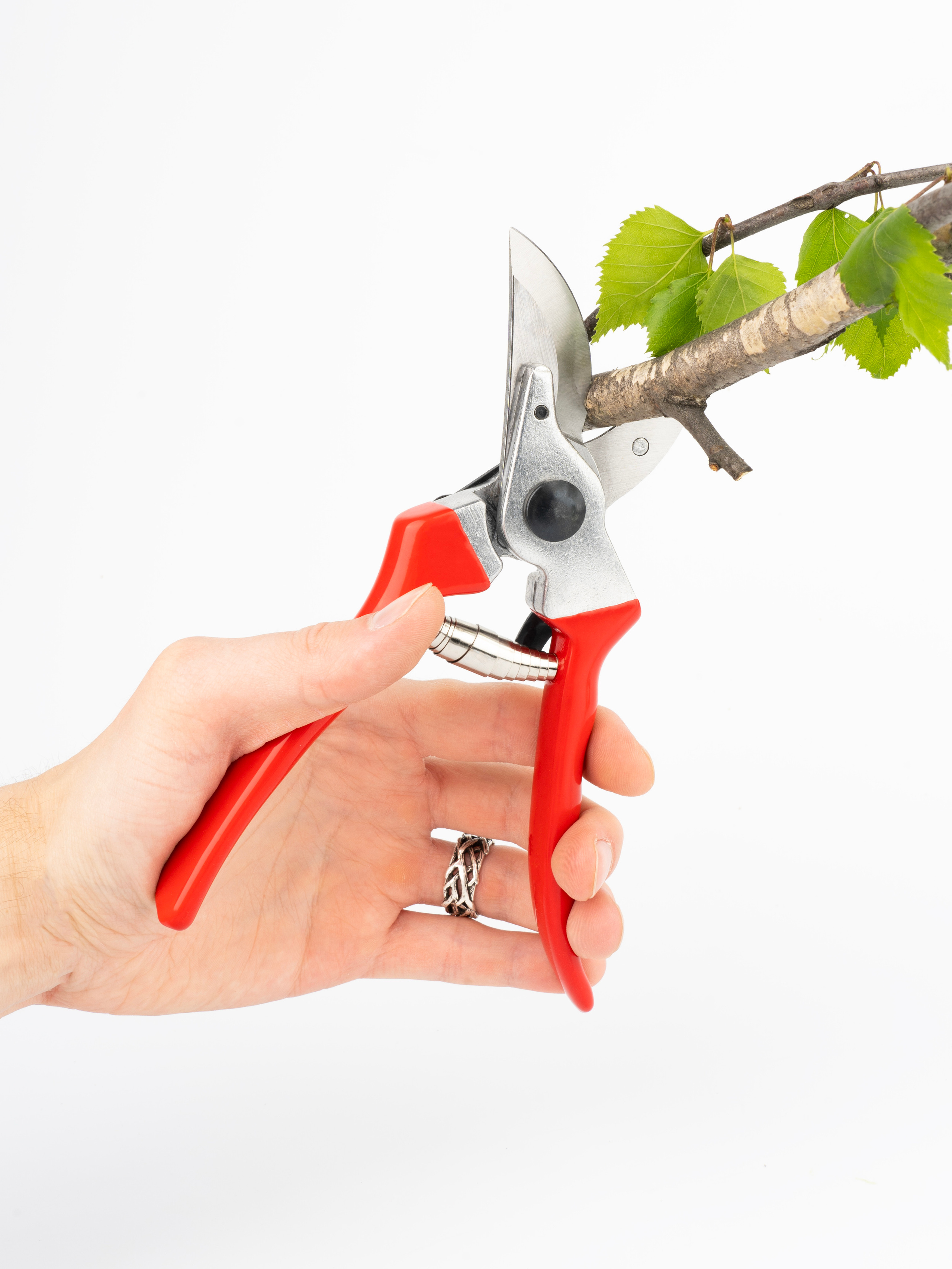 Предметная съемка. Портретный фотограф в Москве