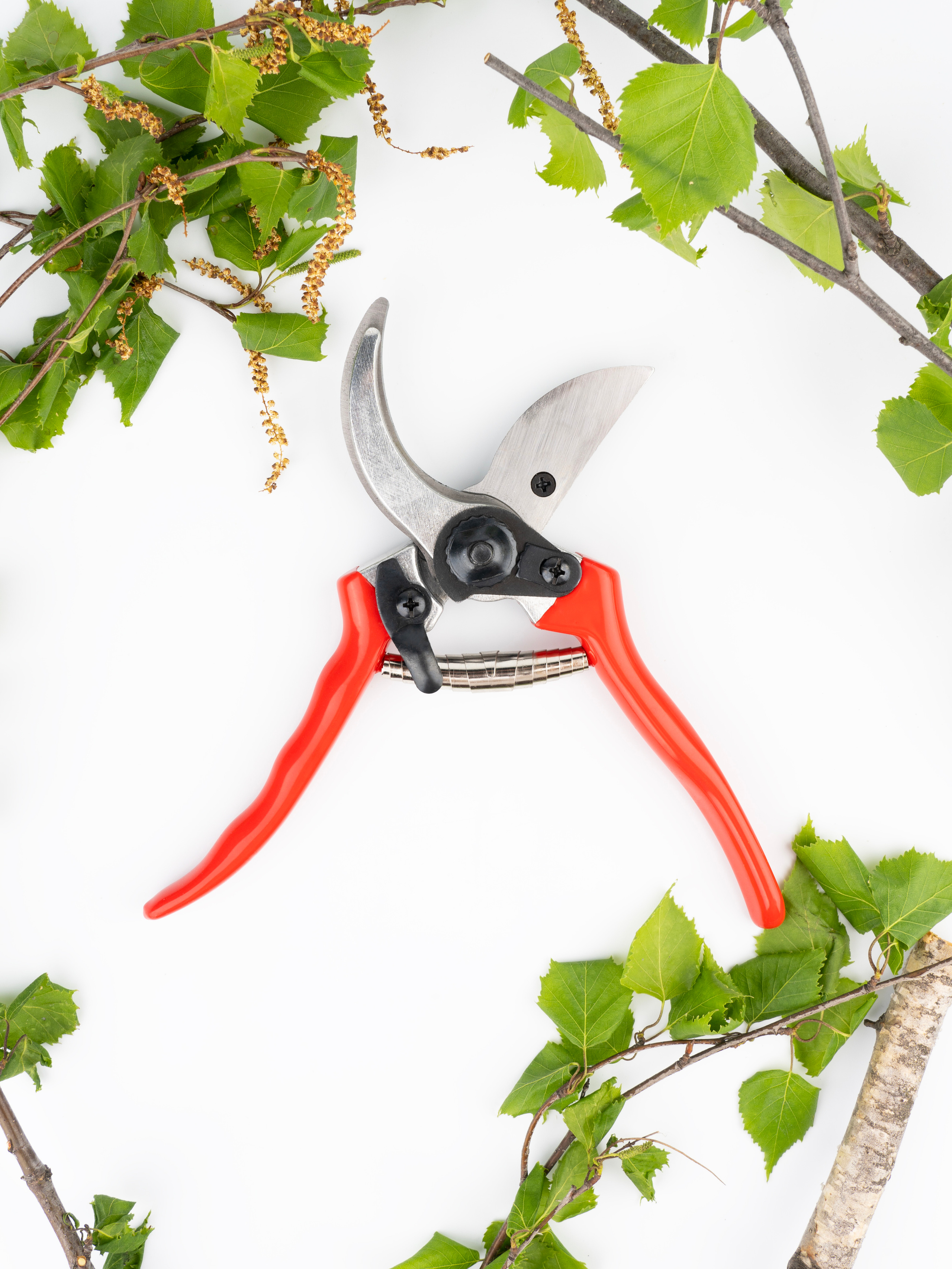 Предметная съемка. Портретный фотограф в Москве