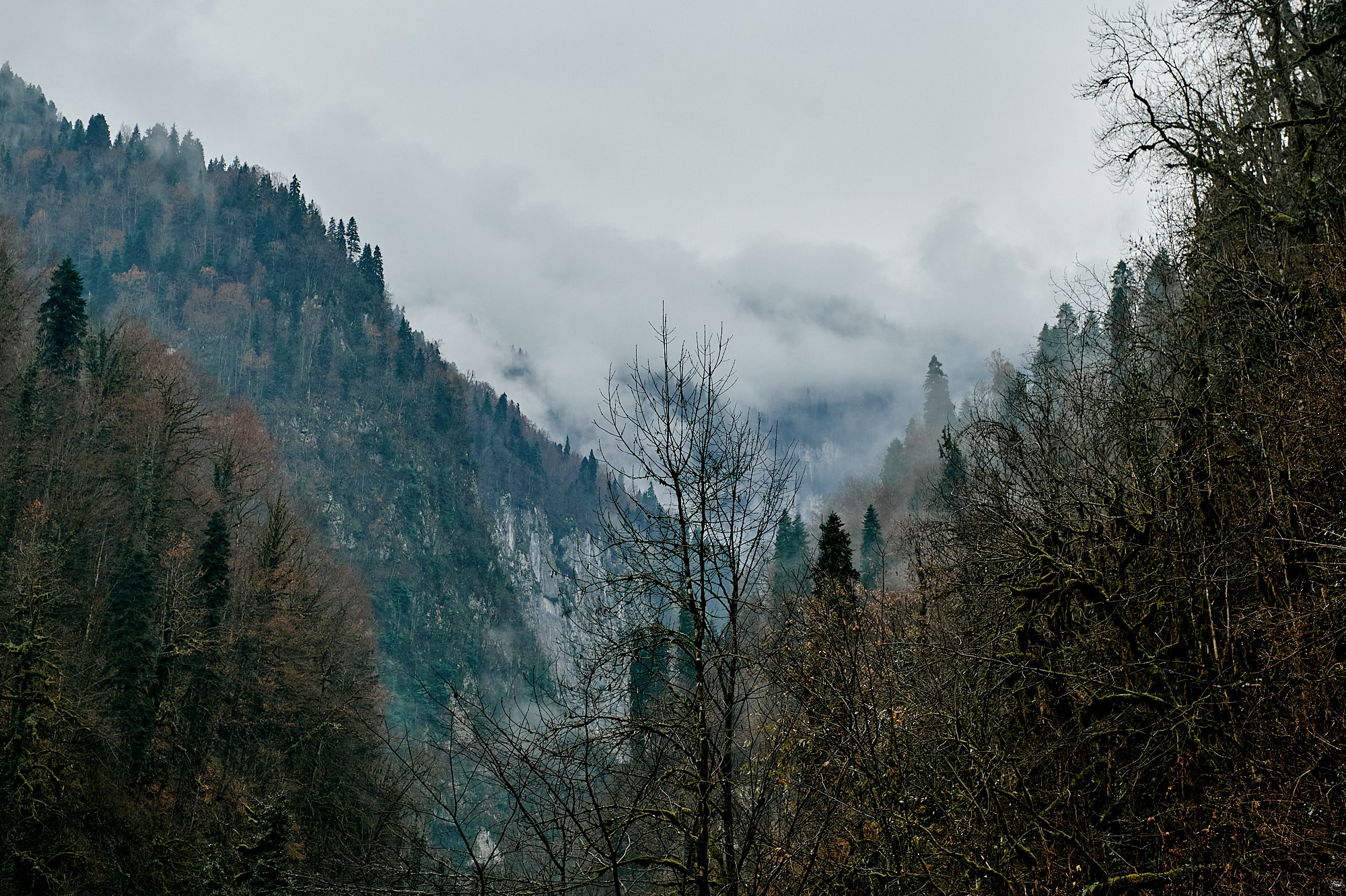 Озеро Рица, Абхазия. Декабрь 2024. Фотографии отовсюду и обо всем