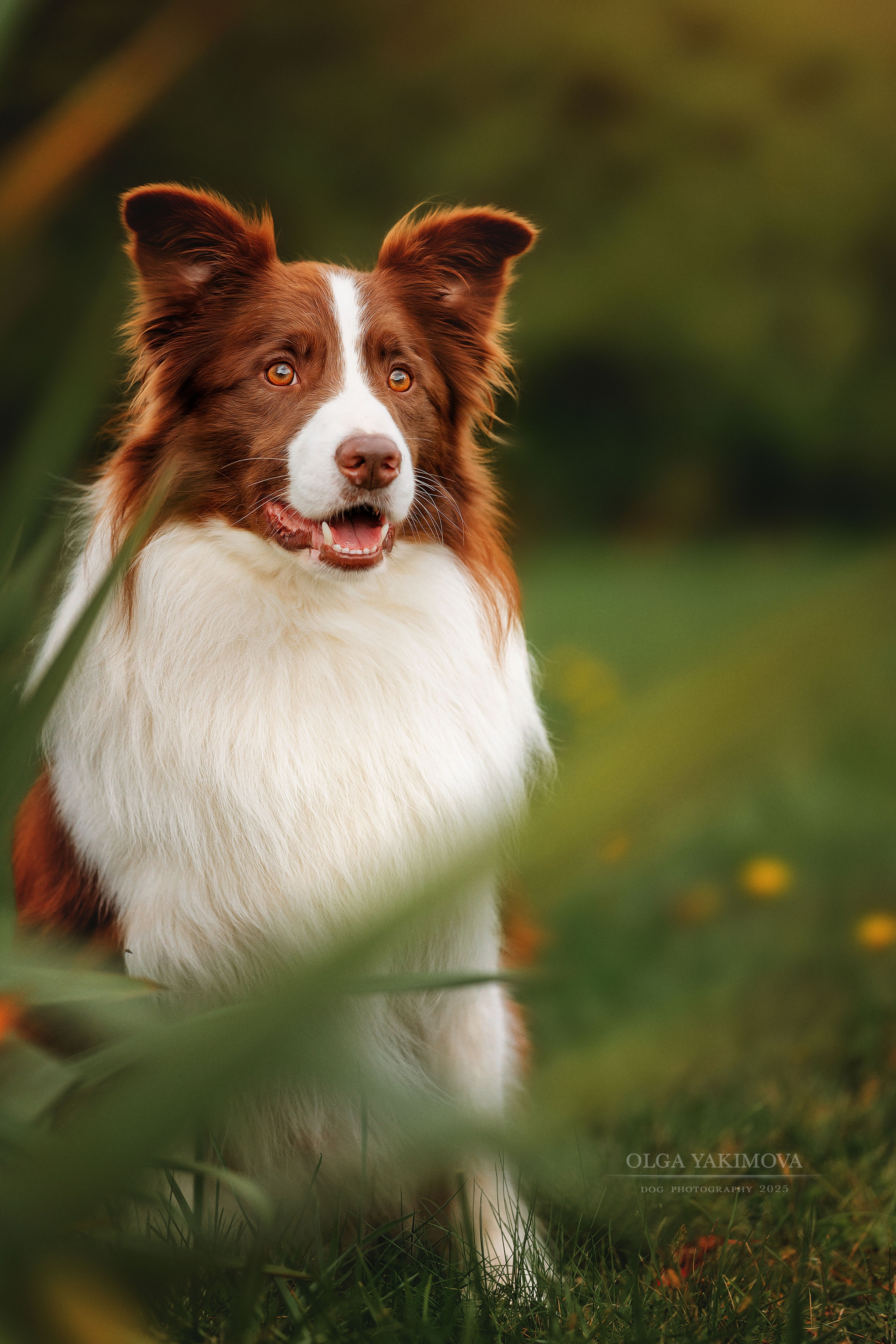 Экстерьер. Фотограф