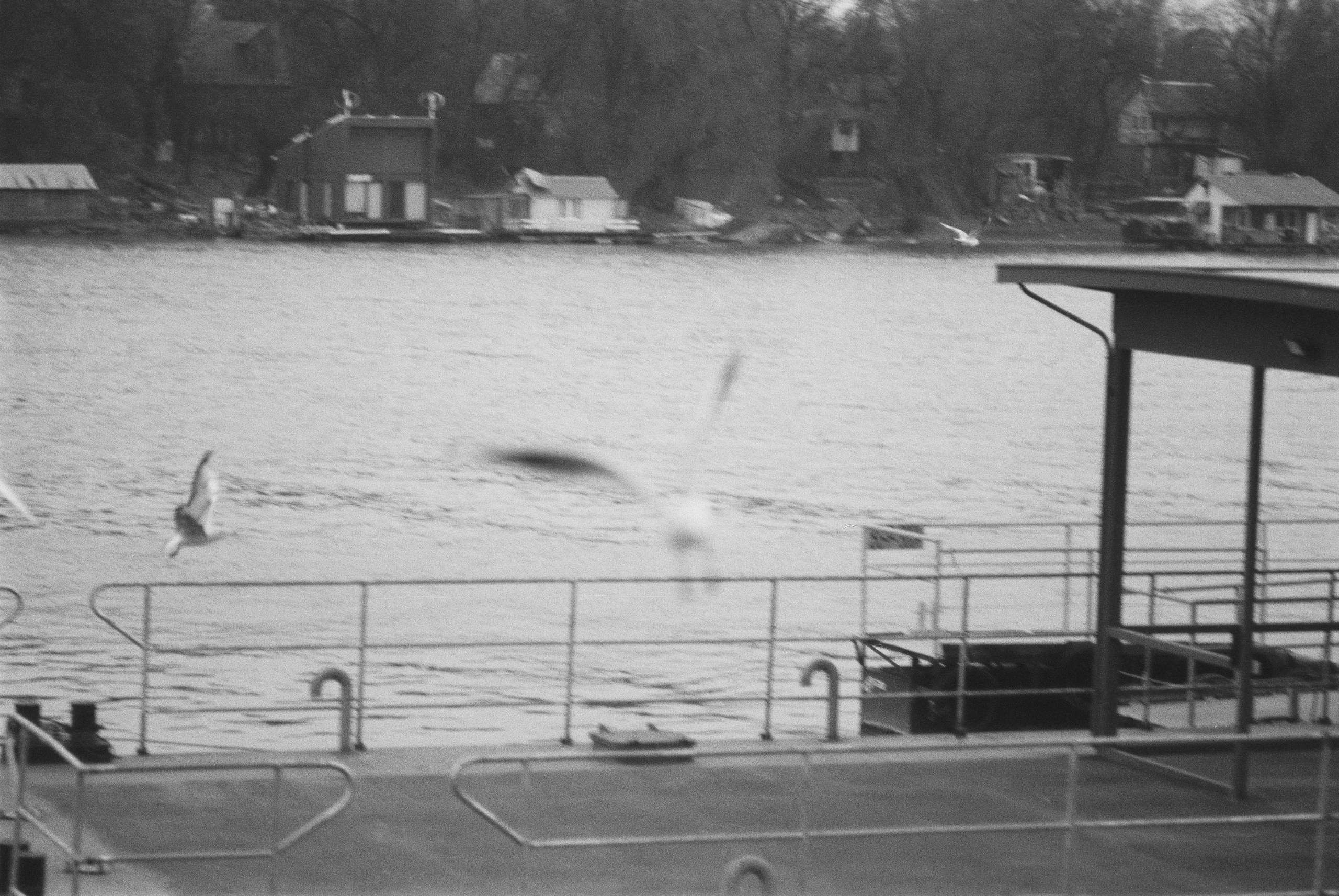 Плёнки. Кира Кечекьян — фотограф в Москве