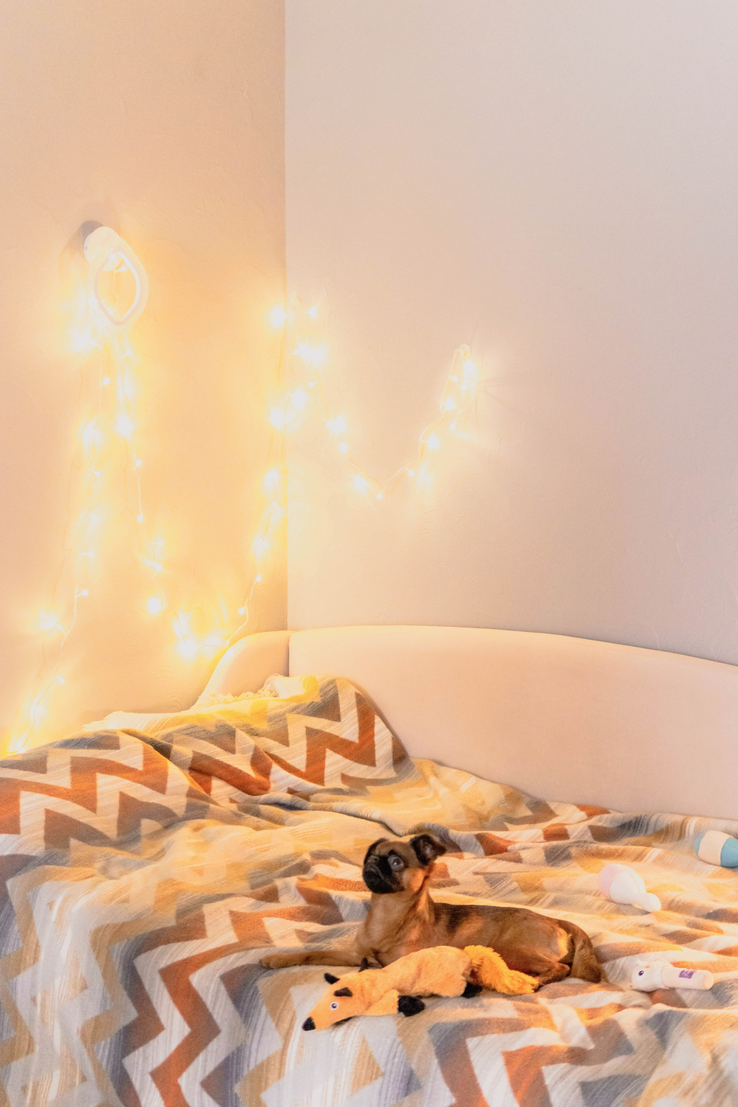 Надя и Ефим. Фотограф-анималист Ксения Воробьева, Москва