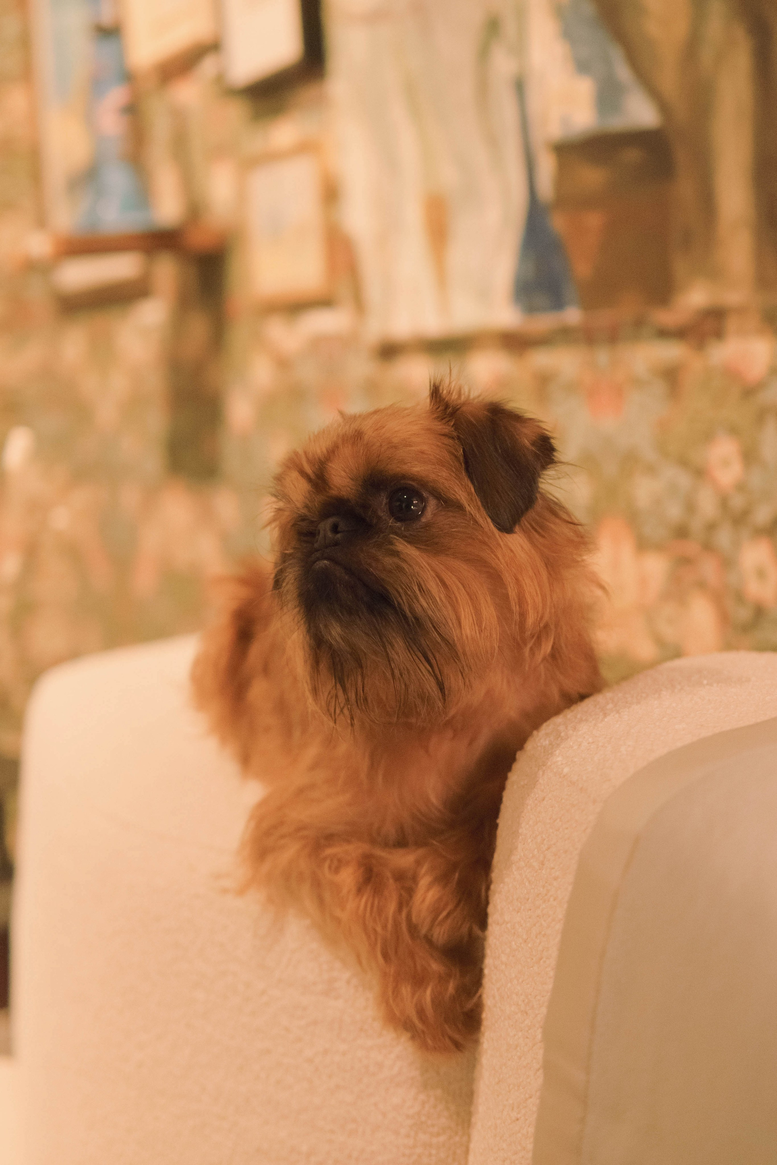 Наташа и Хавьер. Фотограф-анималист Ксения Воробьева, Москва