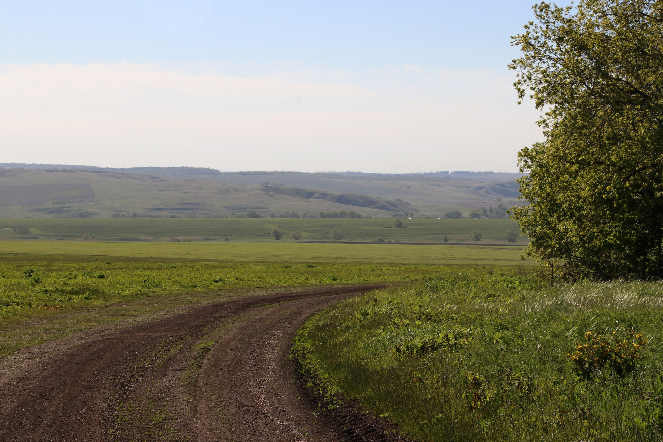 Велопоход Уфа — Мелеуз. Май 2024. Путешественник-фотограф из Санкт-Петербурга Татьяна Свистулина