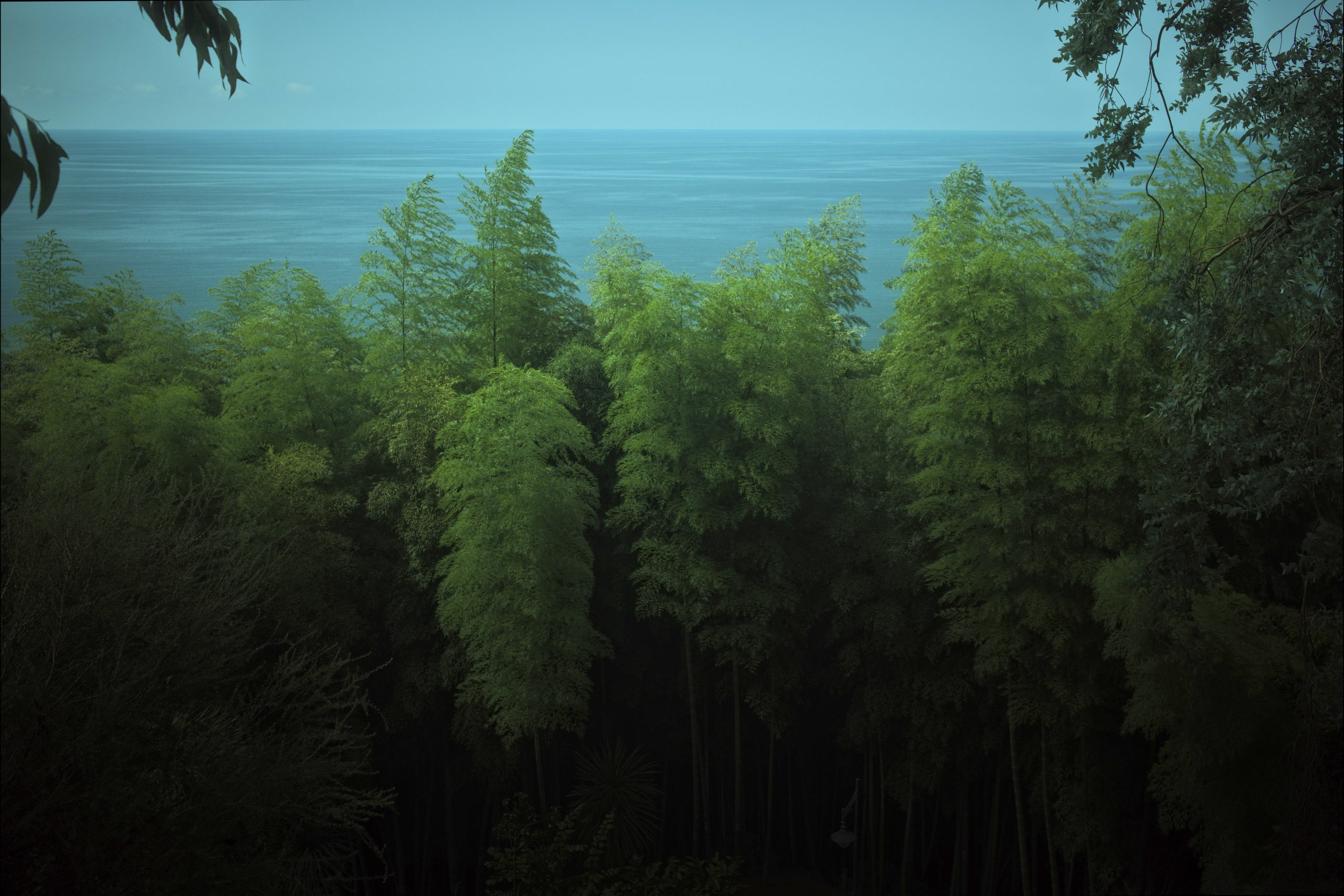 Streets of Sakartvelo p.10. Viktor Garshnep Documentary Photographer