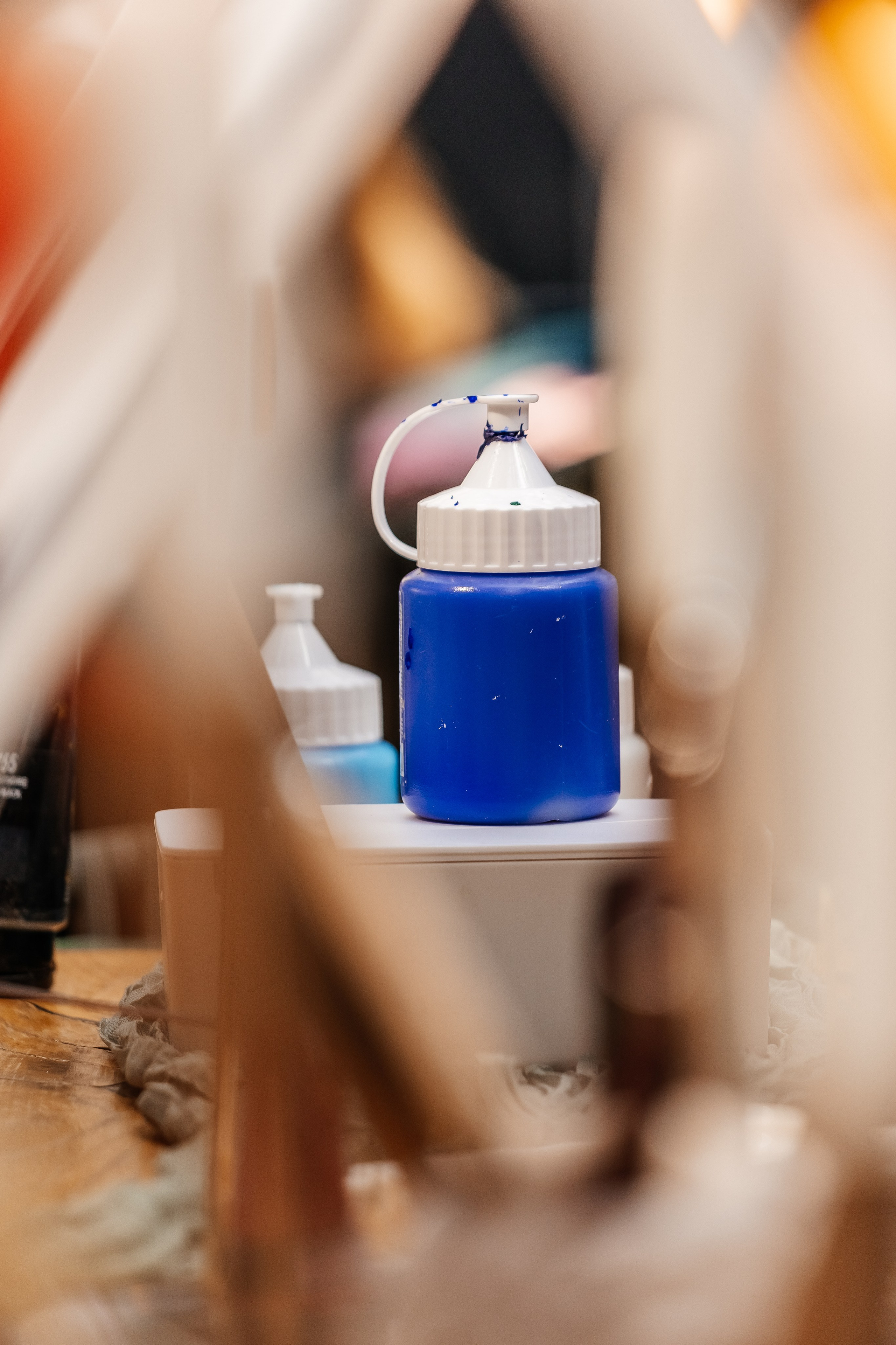 Арт-МК в «Central Park». Фотограф Краснодар Марго Хелбен