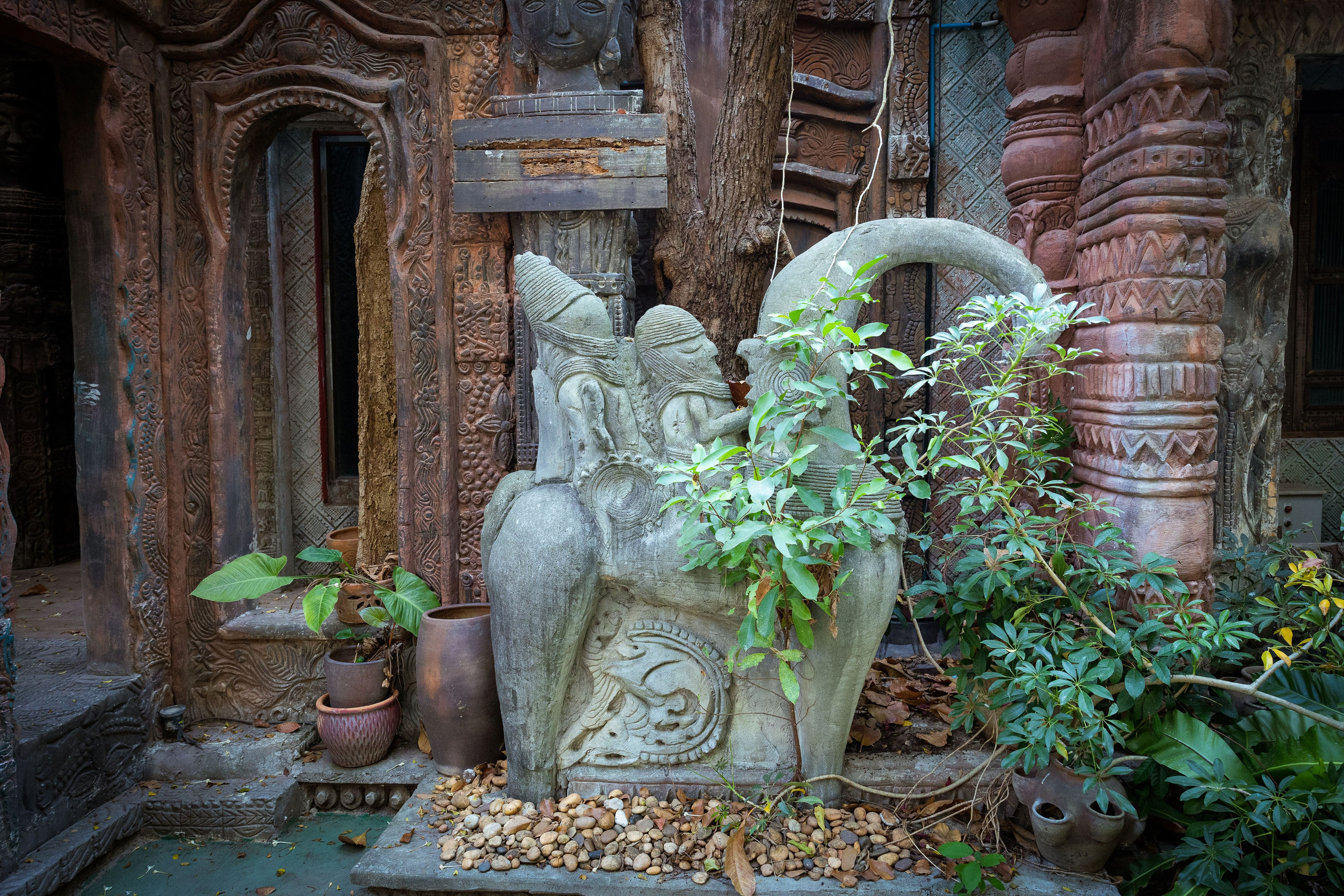 Таиланд (зима 2025). Фотограф Виноградов Константин