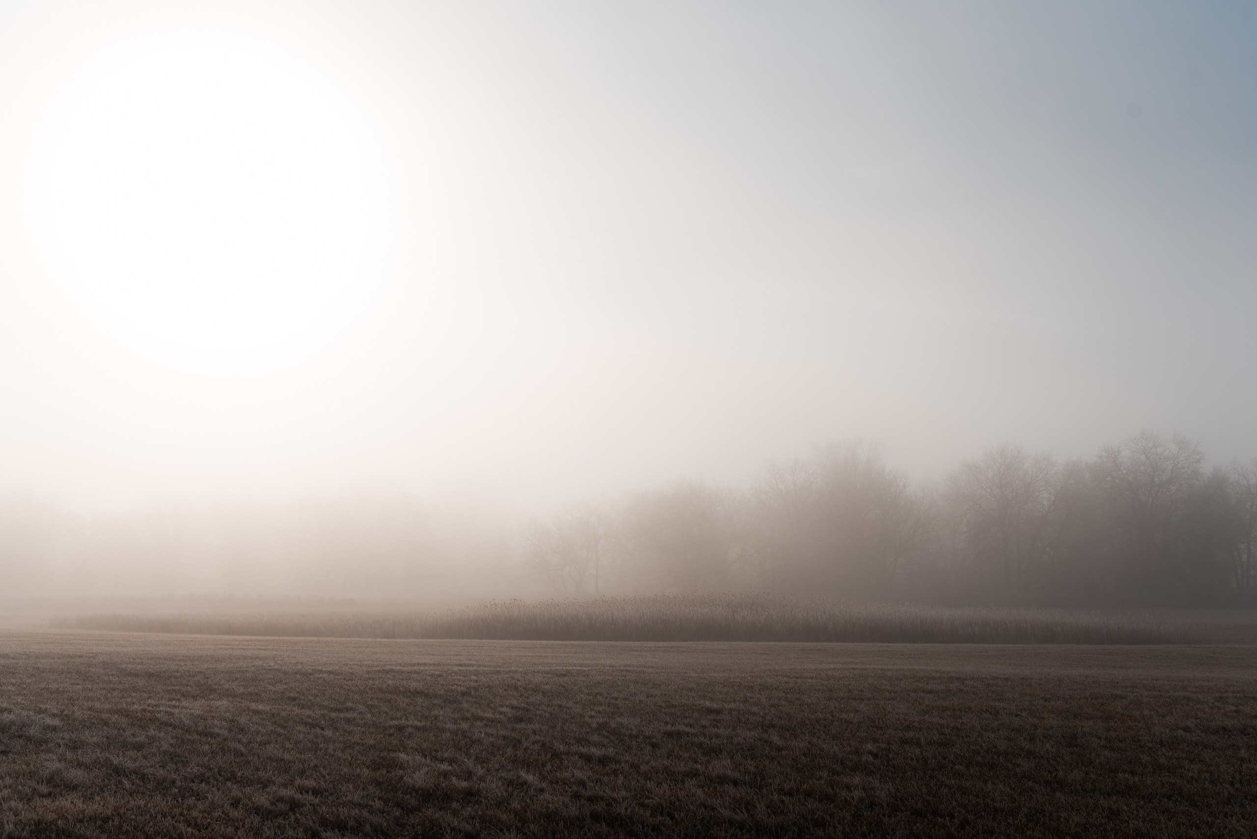 Фотографии утреннего тумана под Волжским. Фотограф в Волгограде и Волжском Александр Горбань