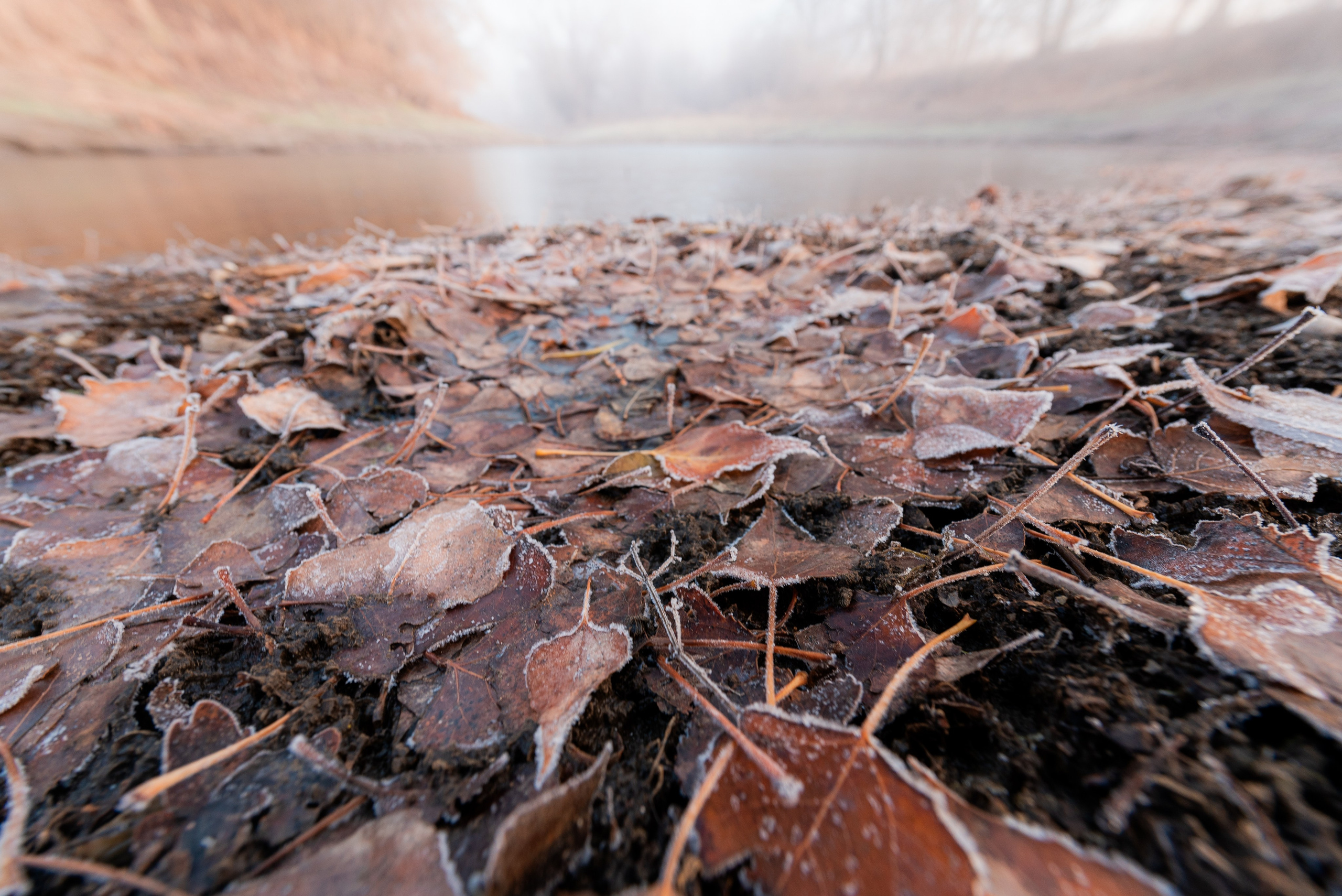Фотографии утреннего тумана под Волжским. Фотограф в Волгограде и Волжском Александр Горбань
