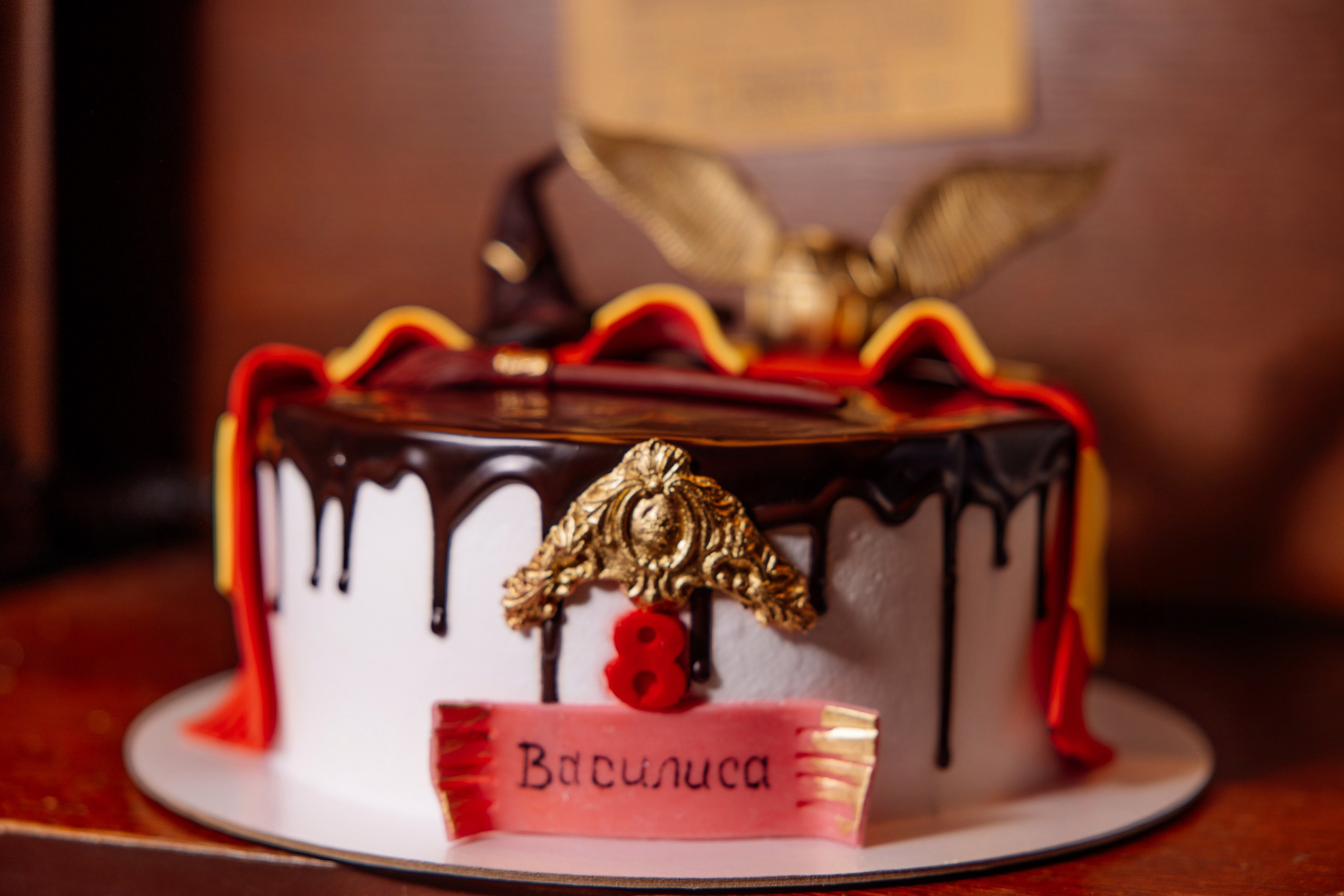 РЕПОРТАЖНЫЕ СЪЕМКИ. Александр Ченченко ака Саша Че. Свадебный, репортажный и портретный фотограф. Москва. Россия. Весь мир