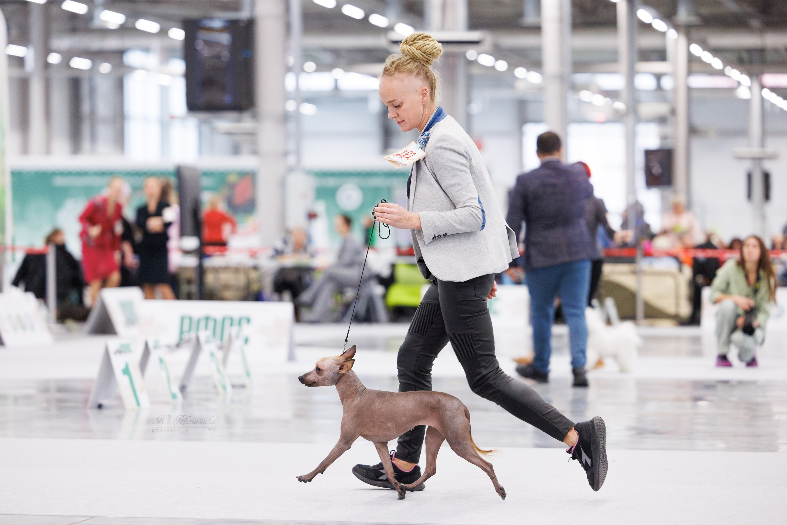 Казань Зилант 30-01.12 2024. Фотограф-анималист Юлия Германика