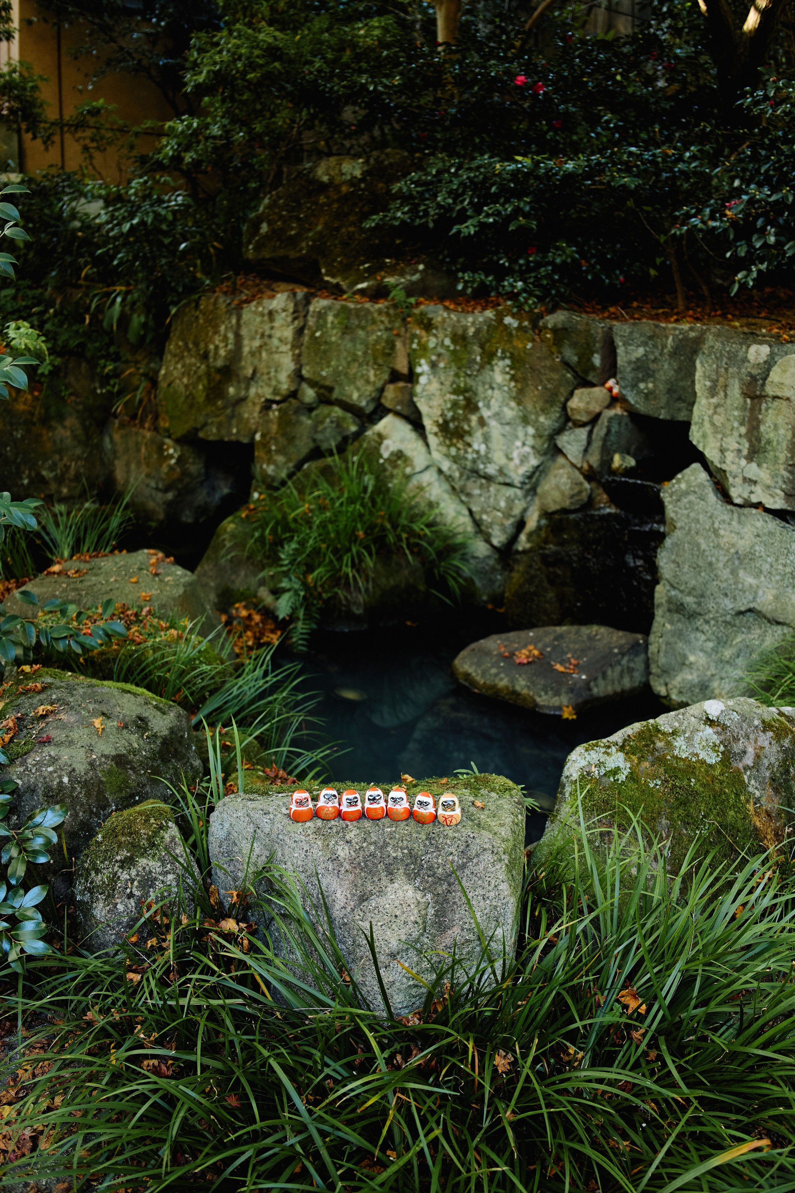 Япония. Профессиональный Фотограф во Владимире, в Москве и в Суздале — Полина Романычева