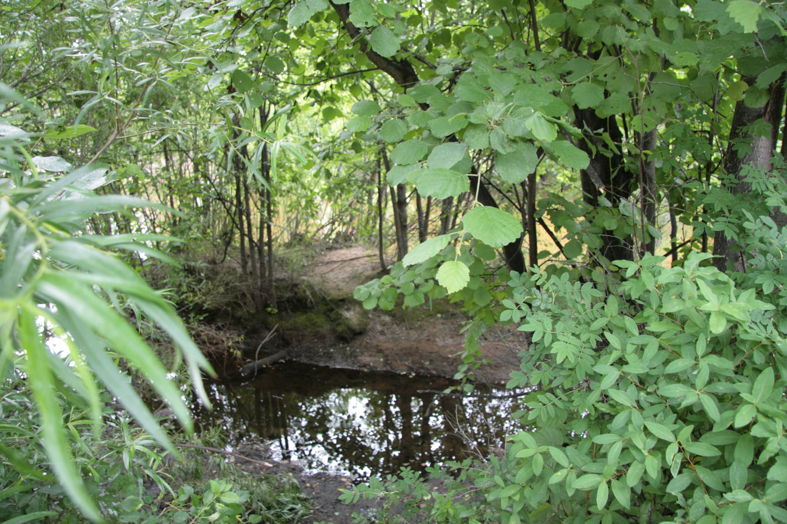 Фото Природы Забайкалья. Студия Максима Белослюдцева
