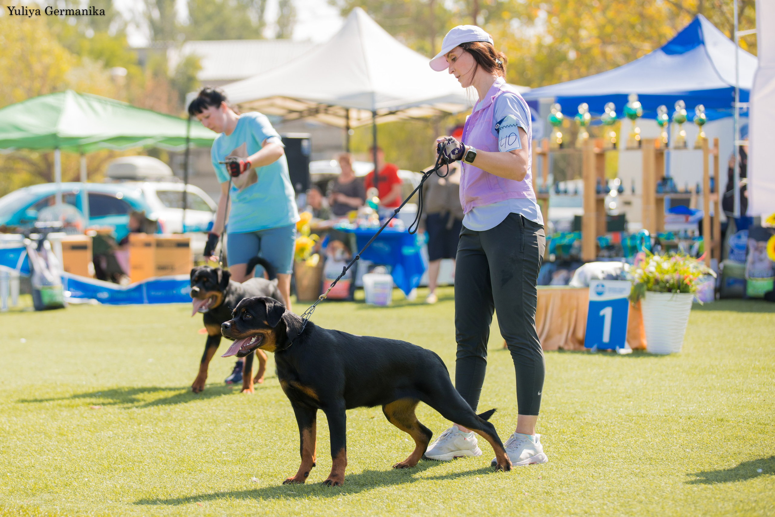 Анапа 16-17.09.2023 моно ротвейлеров. Фотограф-анималист Юлия Германика