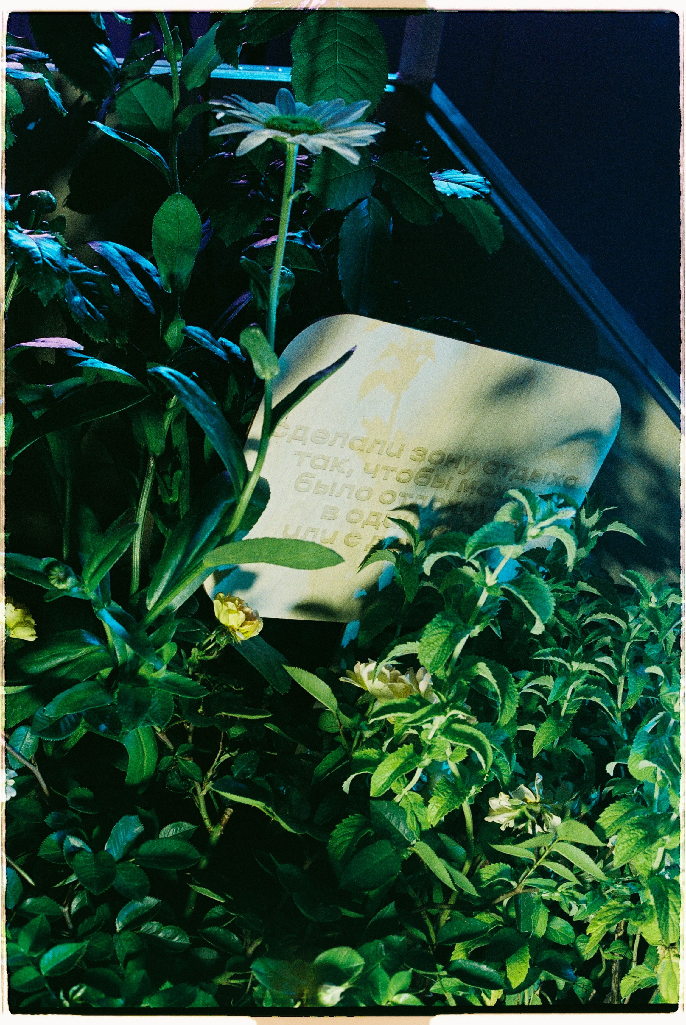 GARAGE РОКЕТ Клумб. Илья Симонов фотограф москва