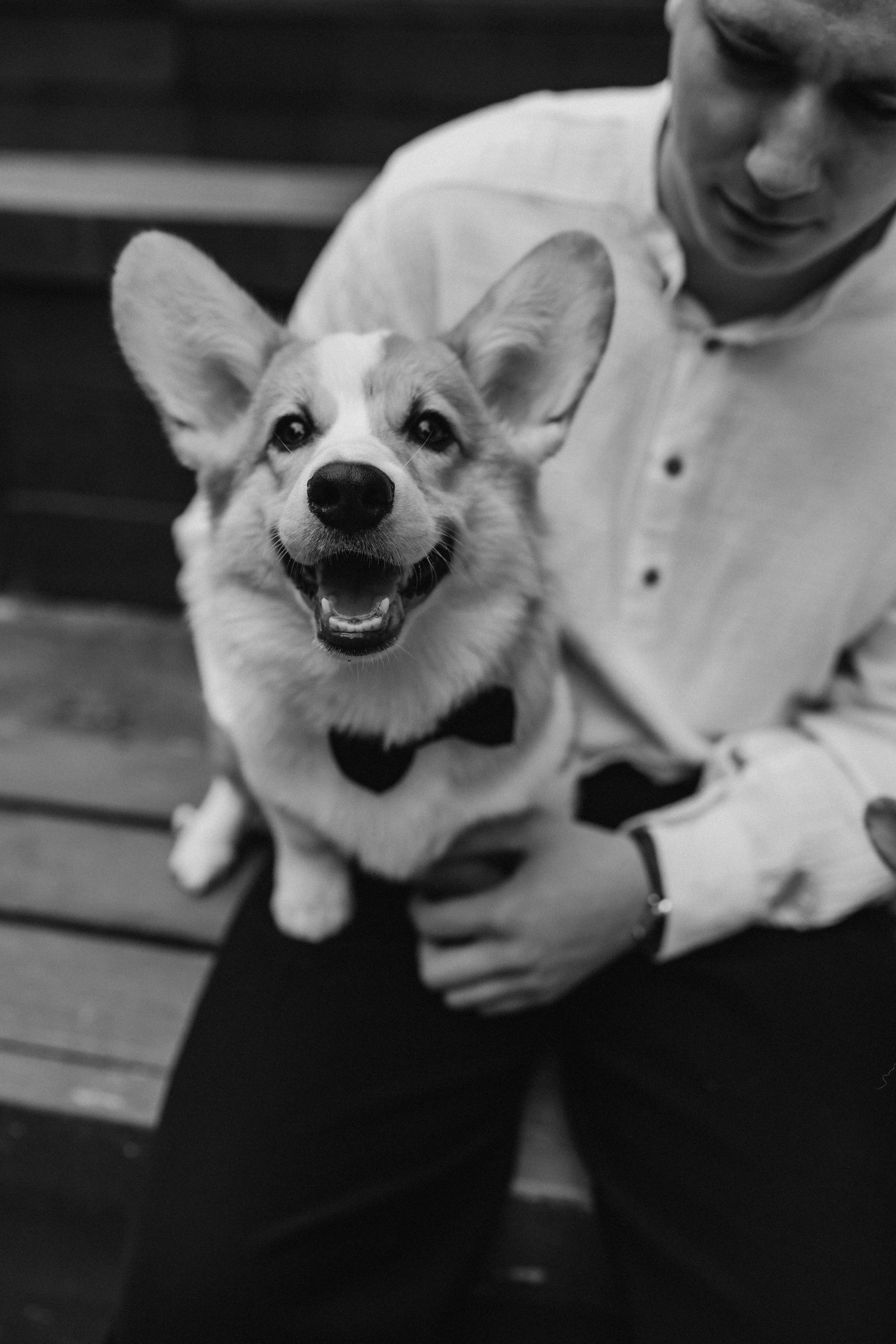 Саша & Даниил. Семейный и женский фотограф в Москве Коновалова Олеся