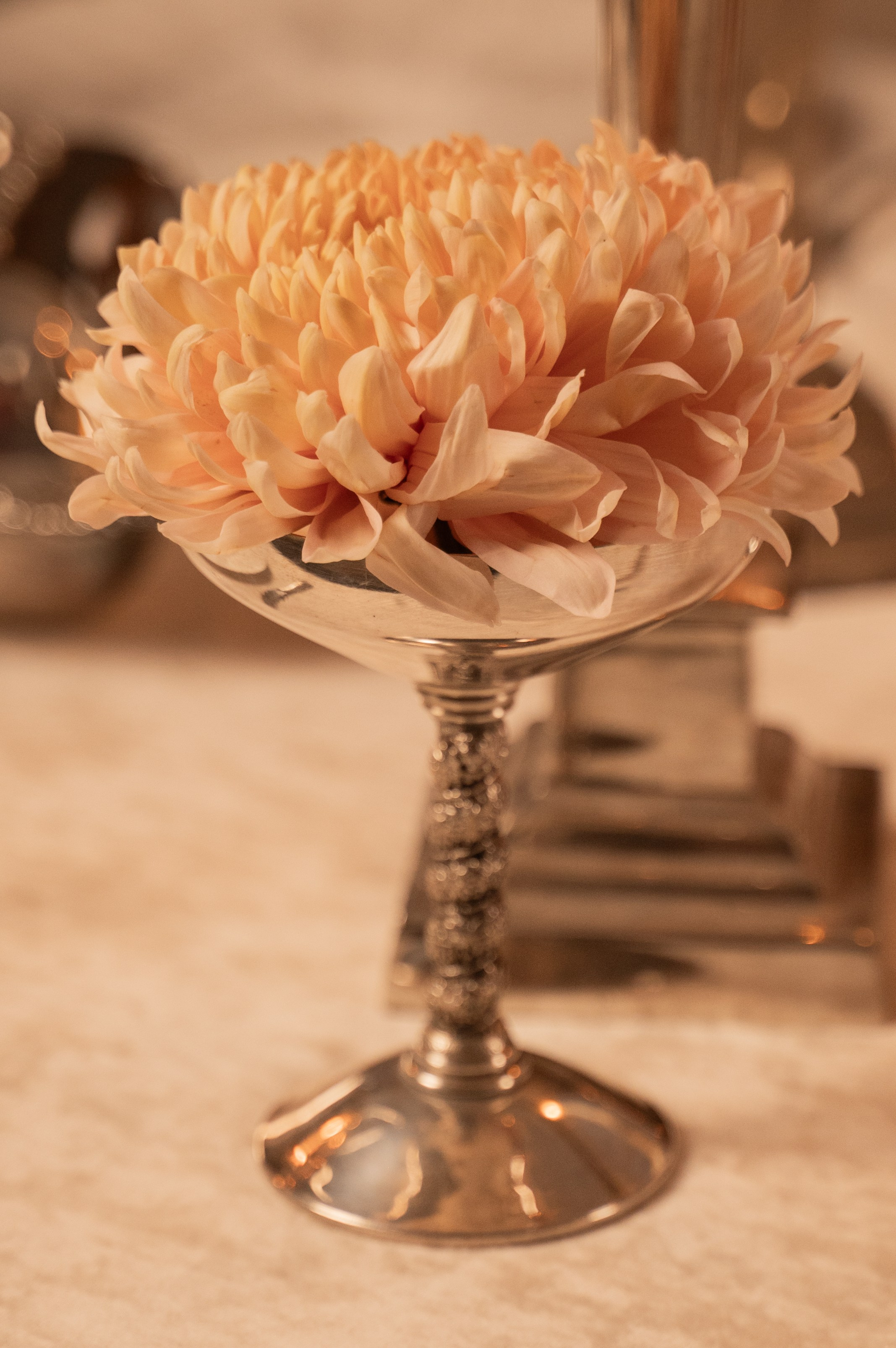 Репортаж. Журавлёва Елена