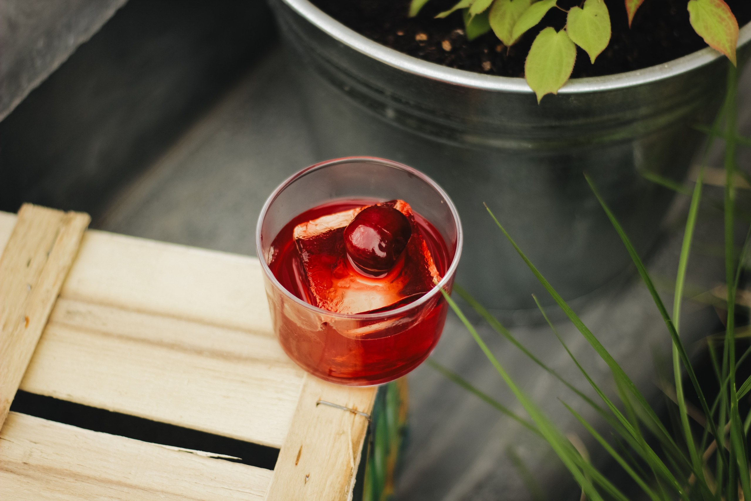 Soil. Света Голобородько, фудфотограф в Санкт-Петербурге