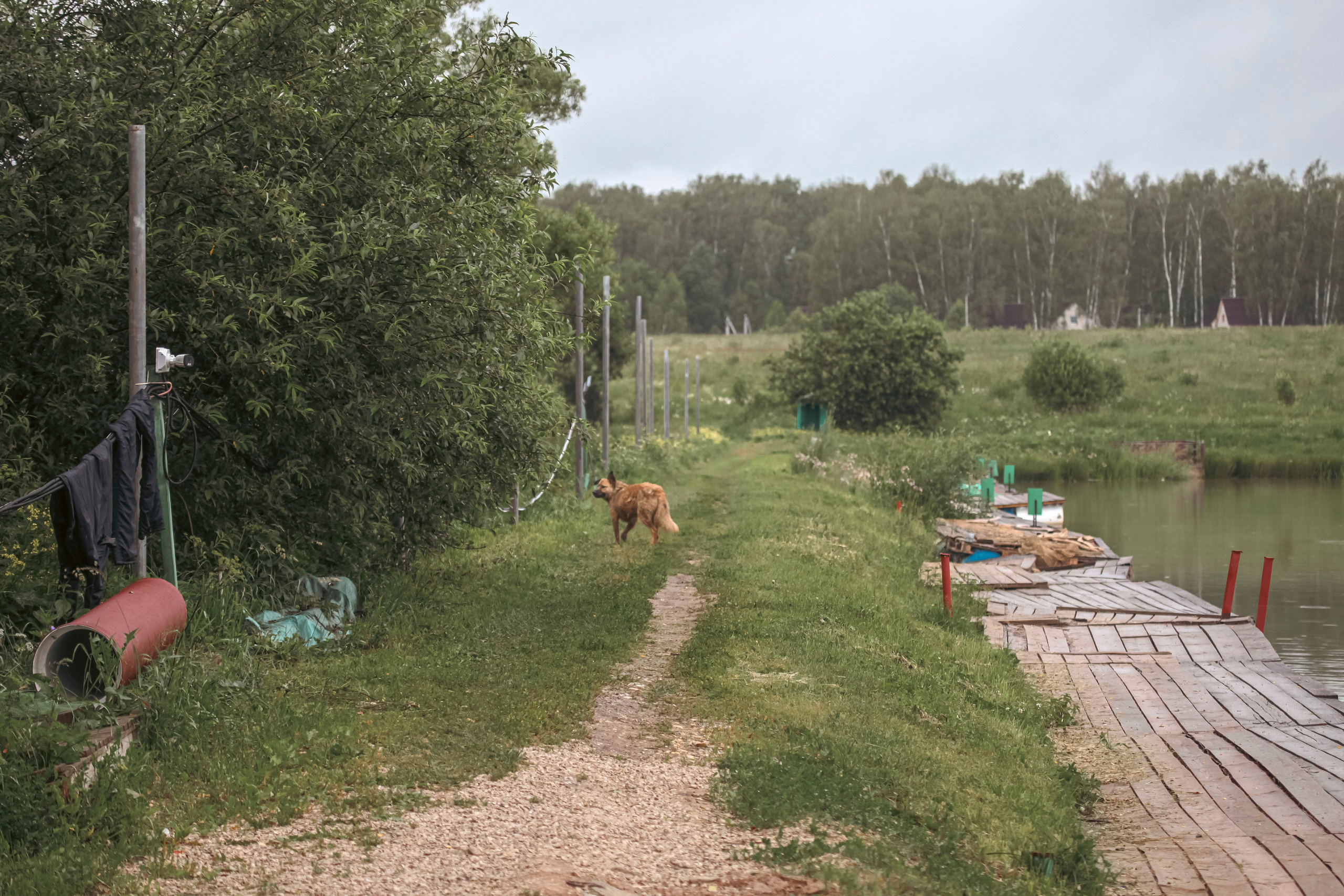 Тихая заводь. Чеховский район. Фотограф для маркетплейсов, фотоуслуги в Жуковском Татьяна Марсуверских