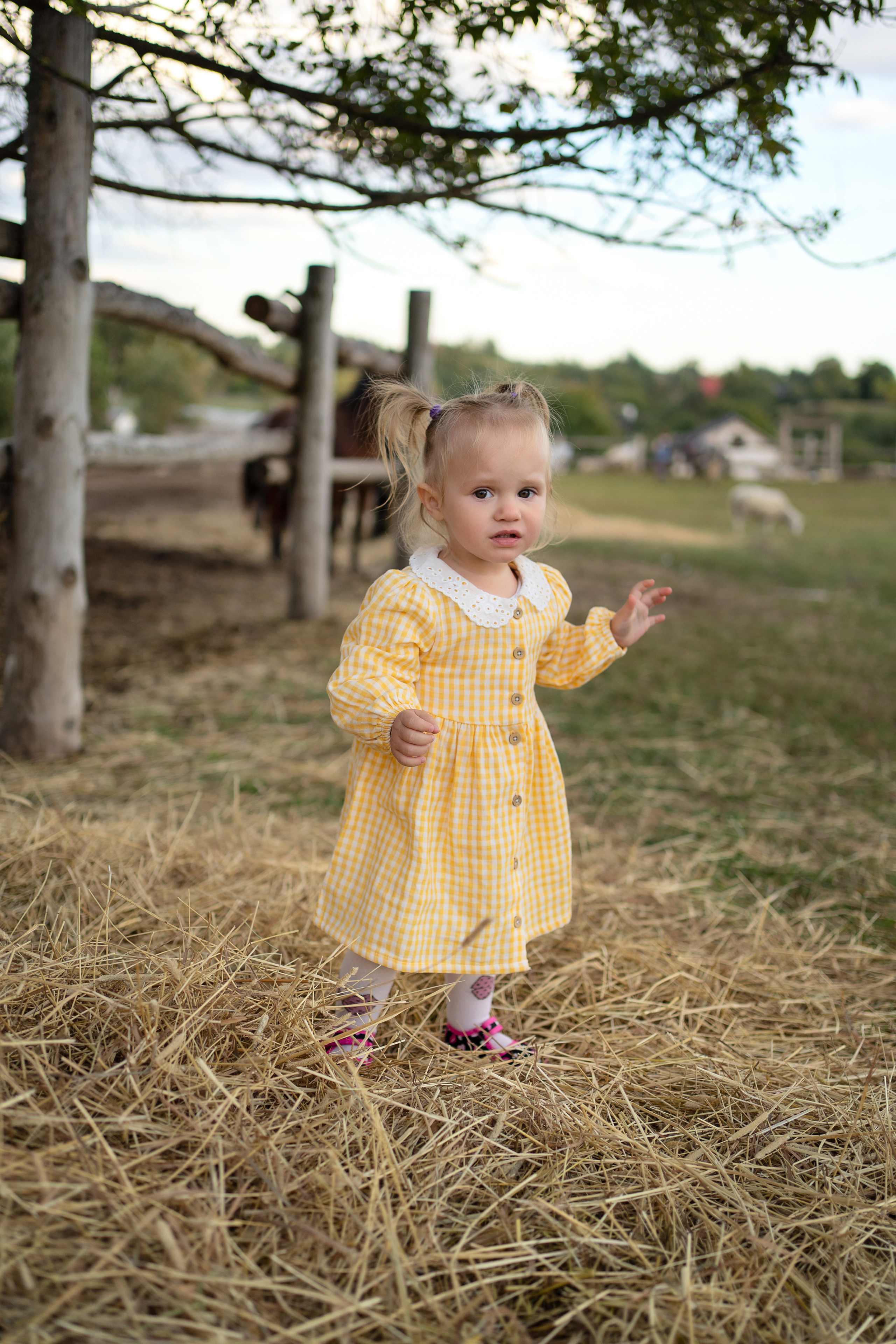 Фотодень на ферме. Семейный и свадебный фотограф Минск, Беларусь Анна Орловская