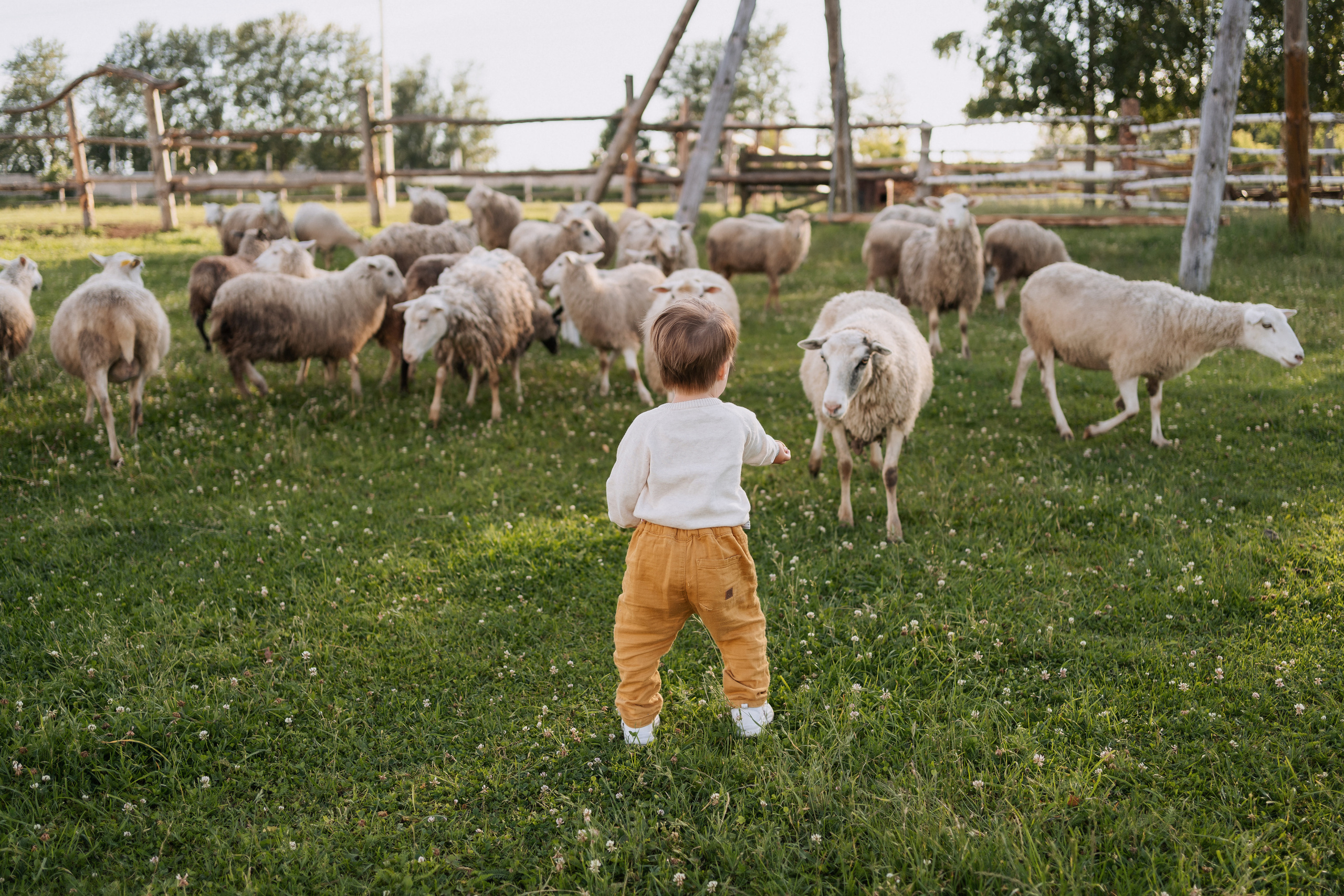 Фотодень на ферме. Семейный и свадебный фотограф Минск, Беларусь Анна Орловская