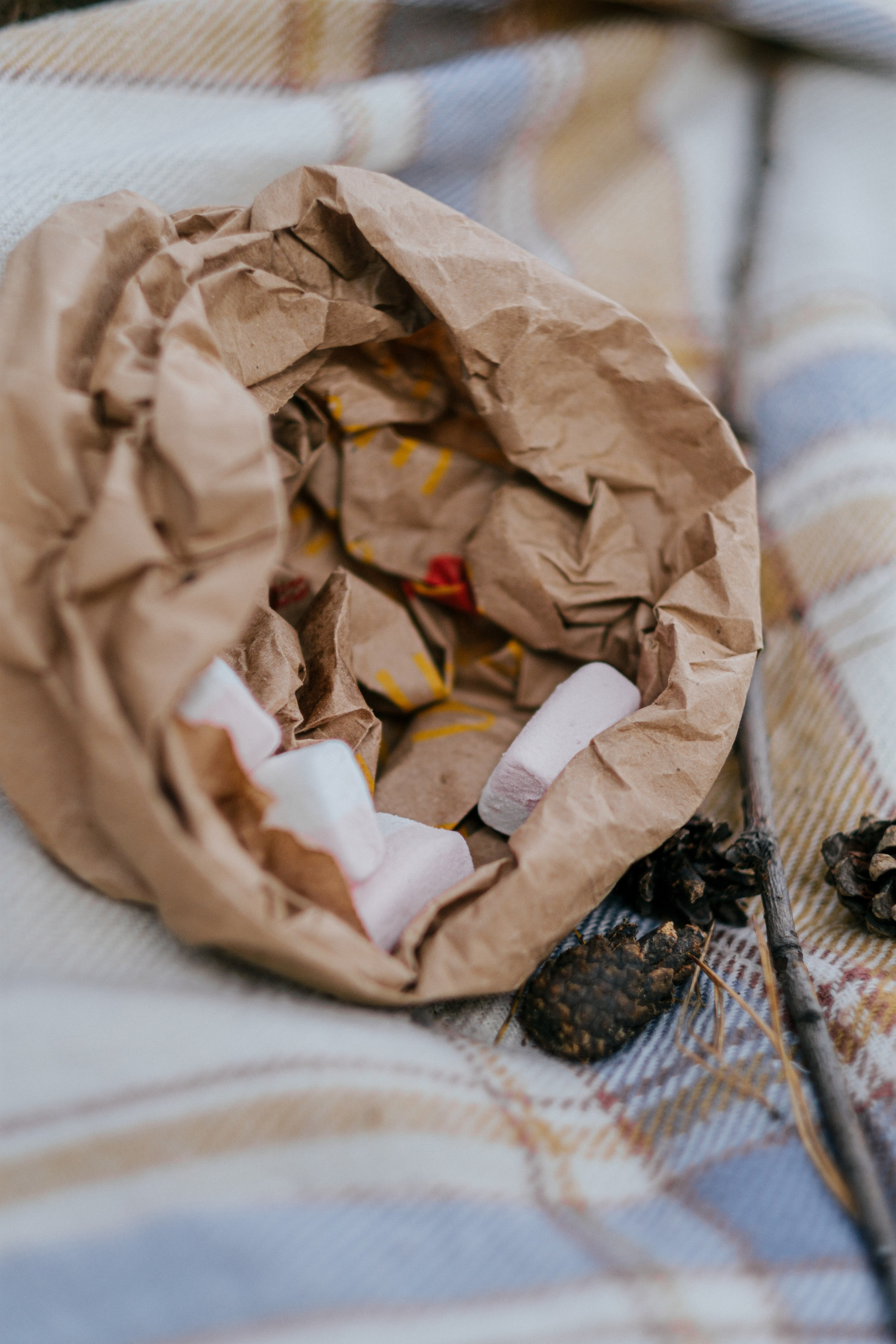 Осенний пикник. Свадебный Видеограф Фотограф в Сочи