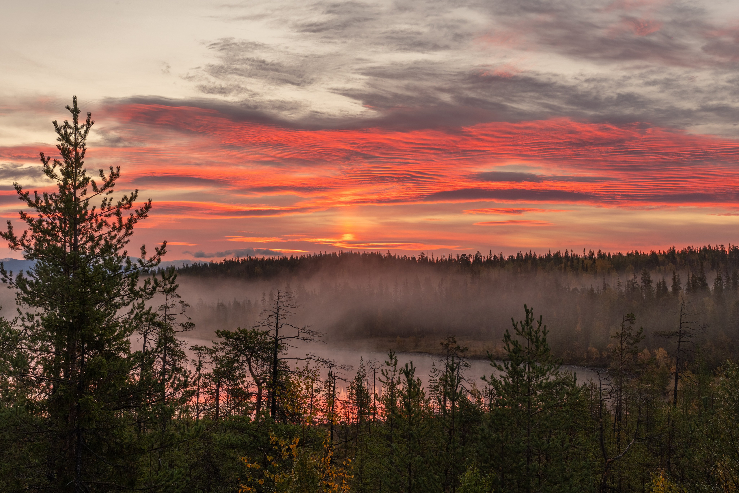 Портфолио. Daria wanderer photography