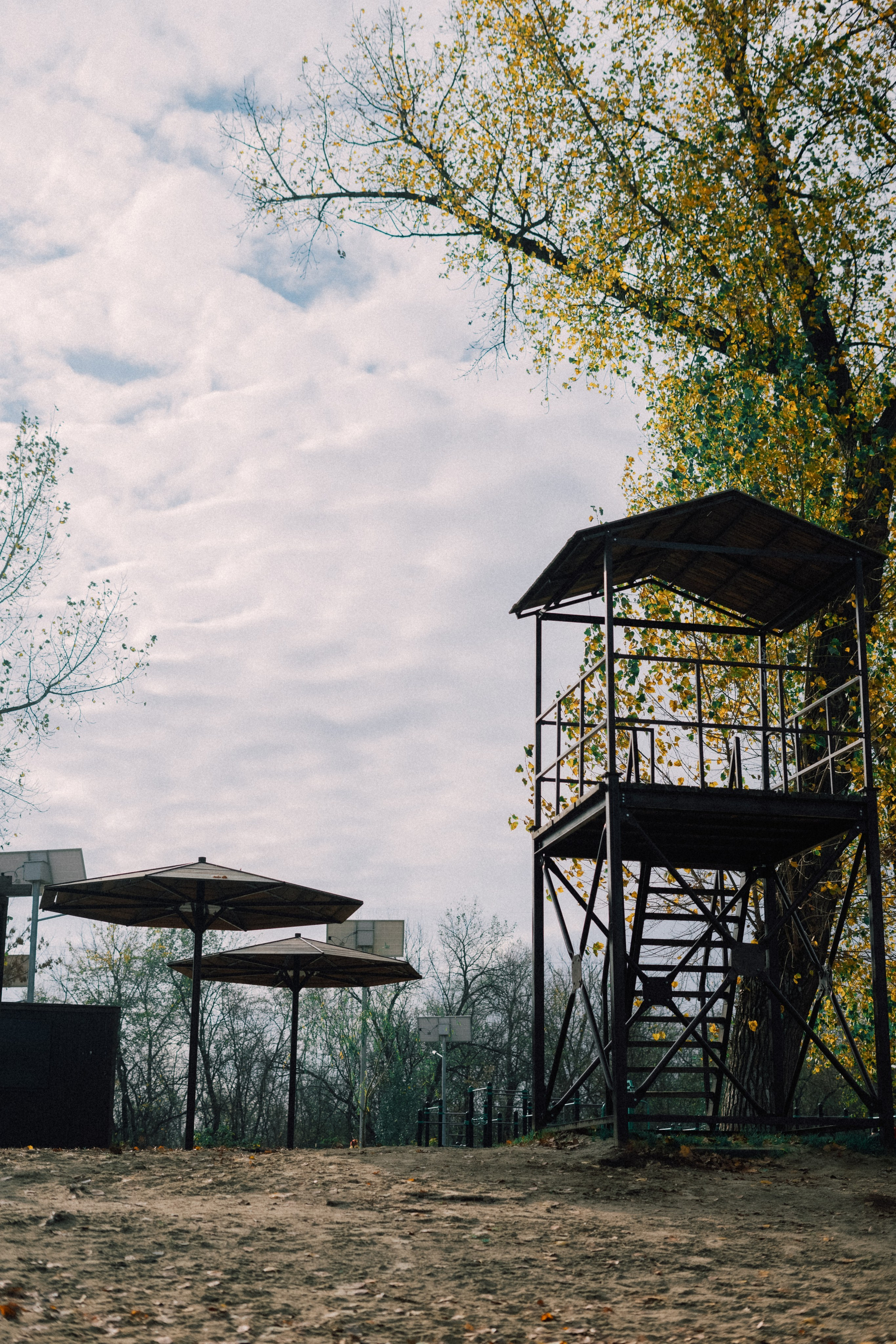 Большая семейная. Портретный и семейный фотограф в Мариуполе, РФ. Даша Жогло