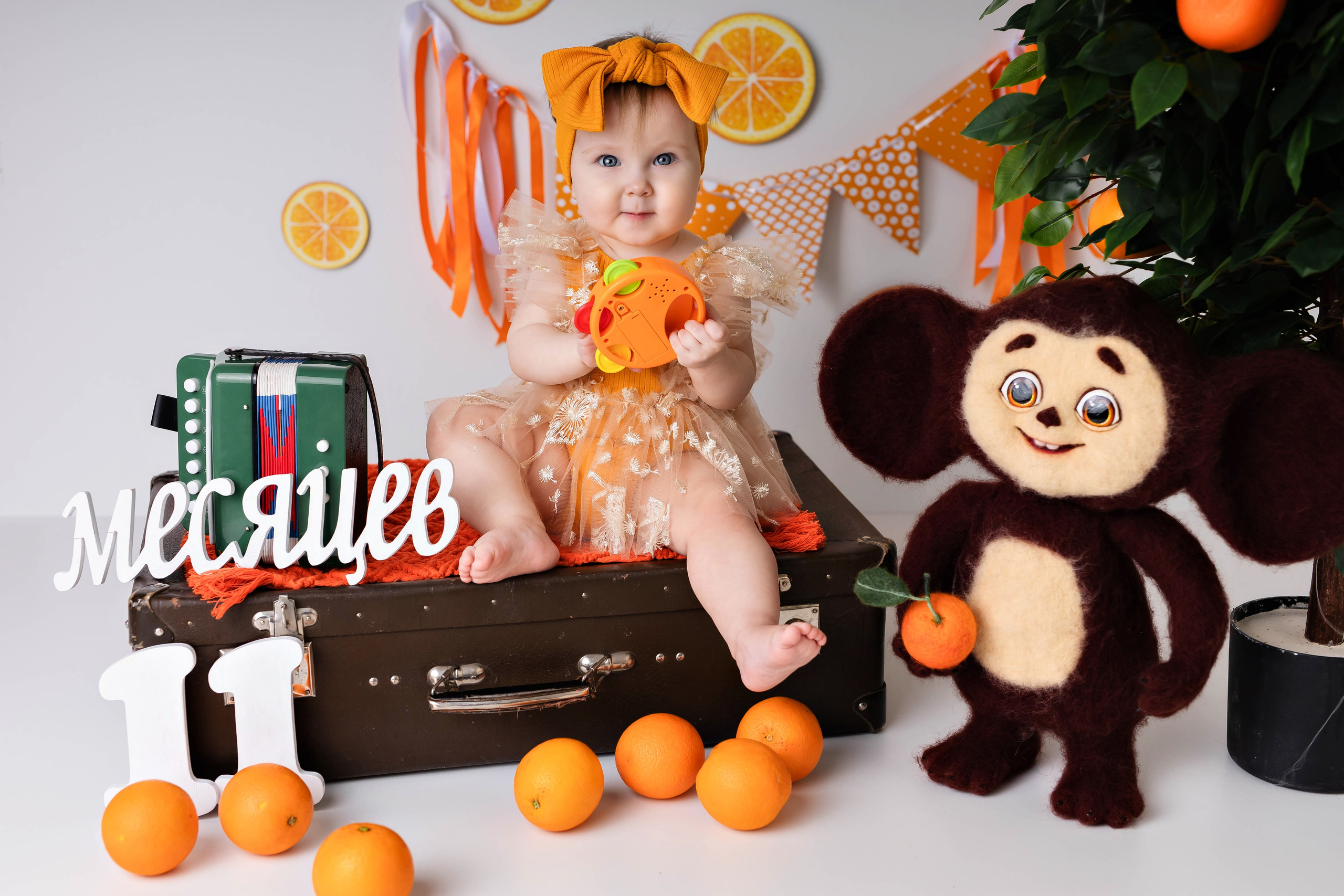 Апельсины. Фотограф Болотова Иветта