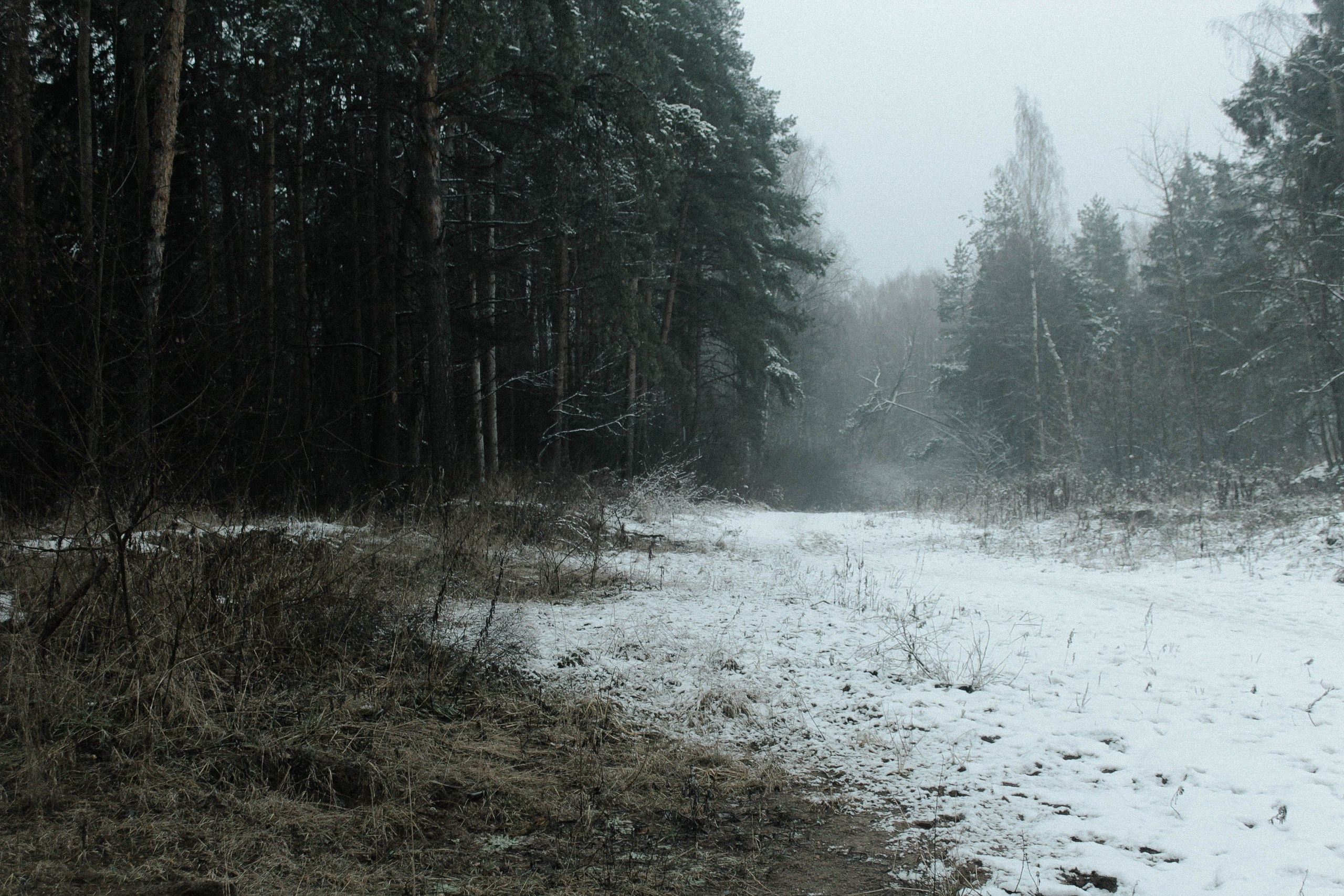 Ольга Венгель. Фотограф, режиссёр, художник Аполлинария Лиманская
