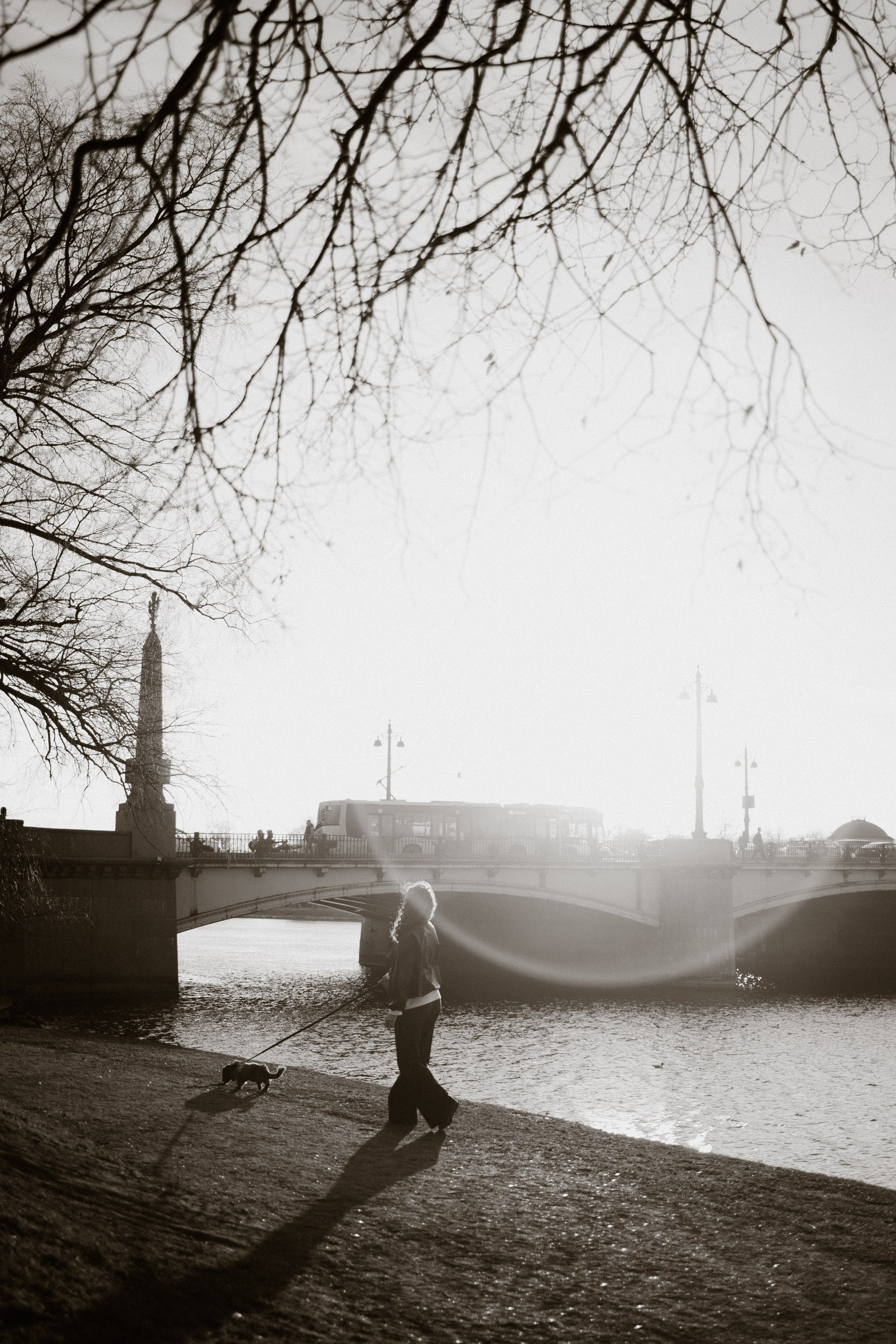 Одна прогулка из жизни Бимы. Семейный фотограф Питер •love-story•|Санкт-Петербург