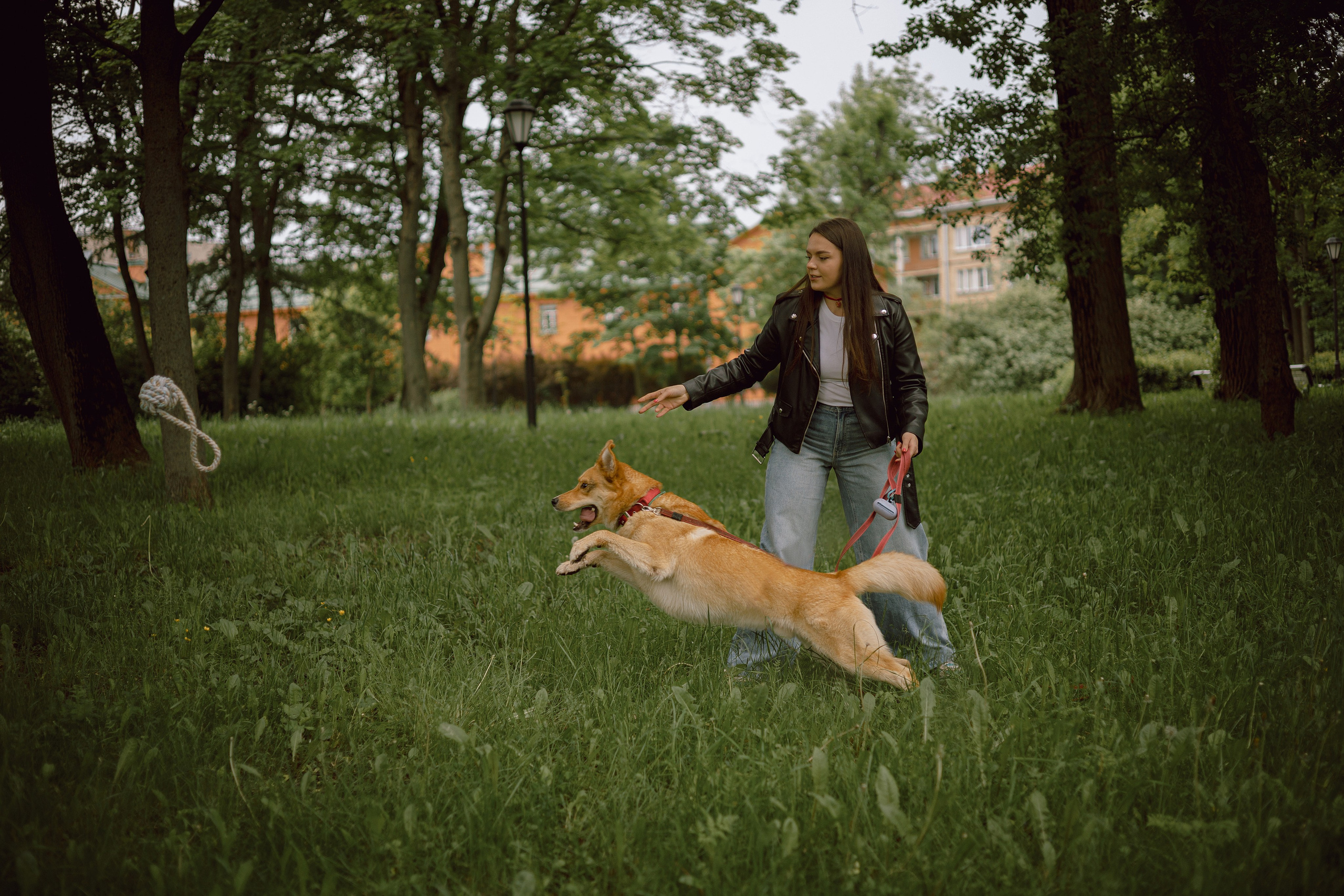 Света и Берт. Фотограф — анималист •love-story•|Санкт-Петербург
