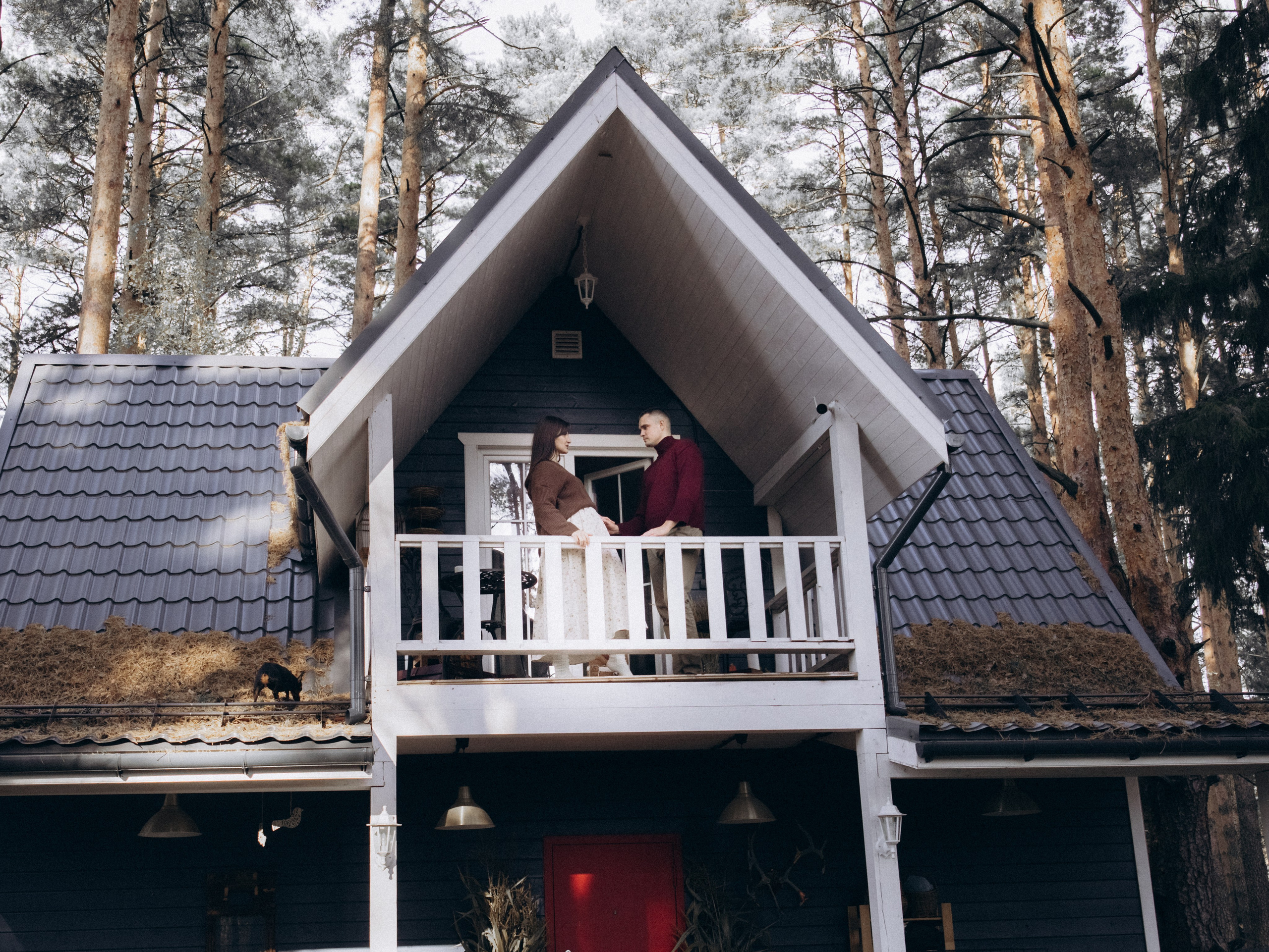 Теплая осень. Фотограф-анималист в Москве Кириллова Татьяна