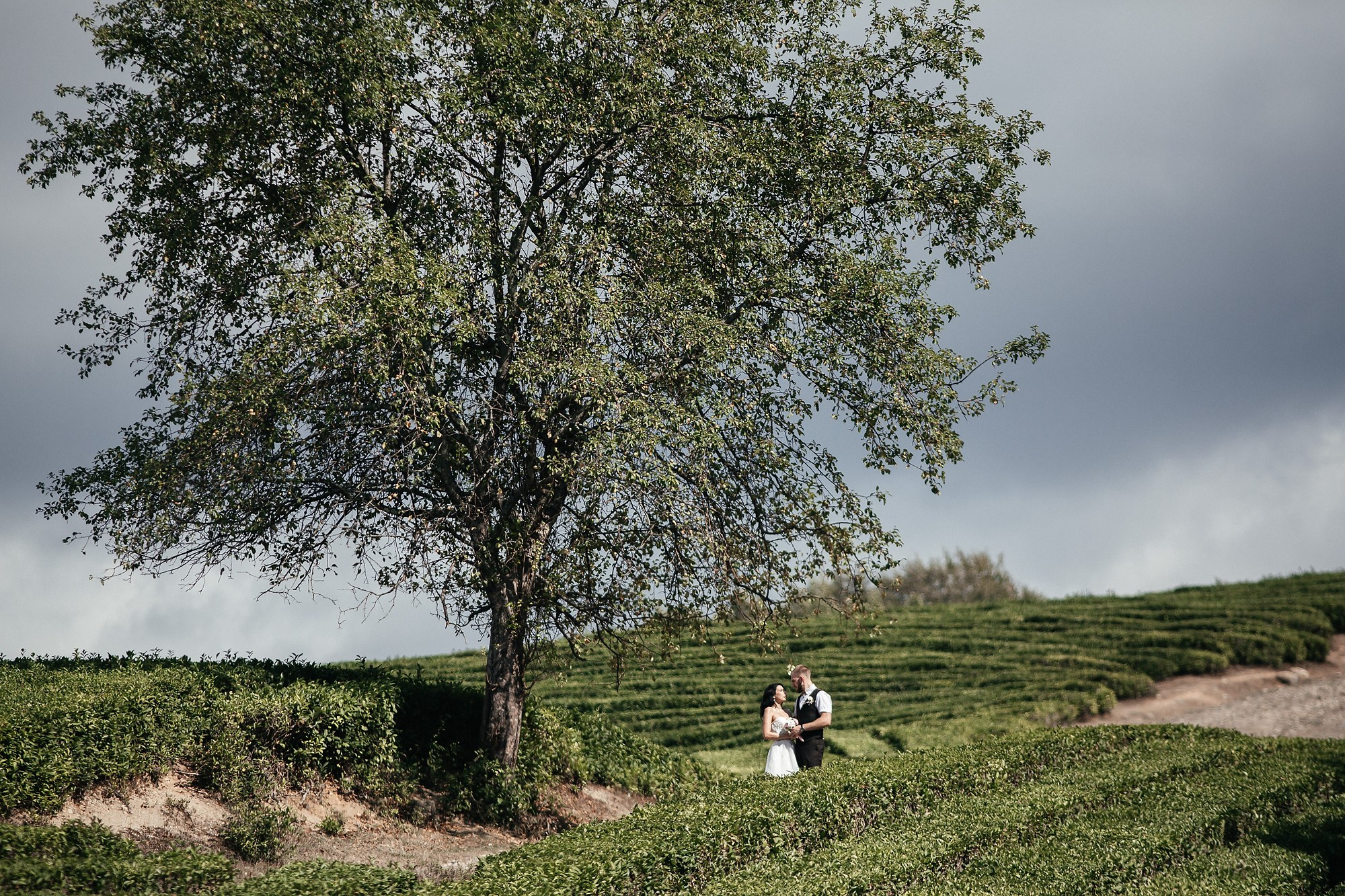 Фотосессия для двоих в горах Сочи. Свадебный, репортажный фотограф Дмитрий Макарченко