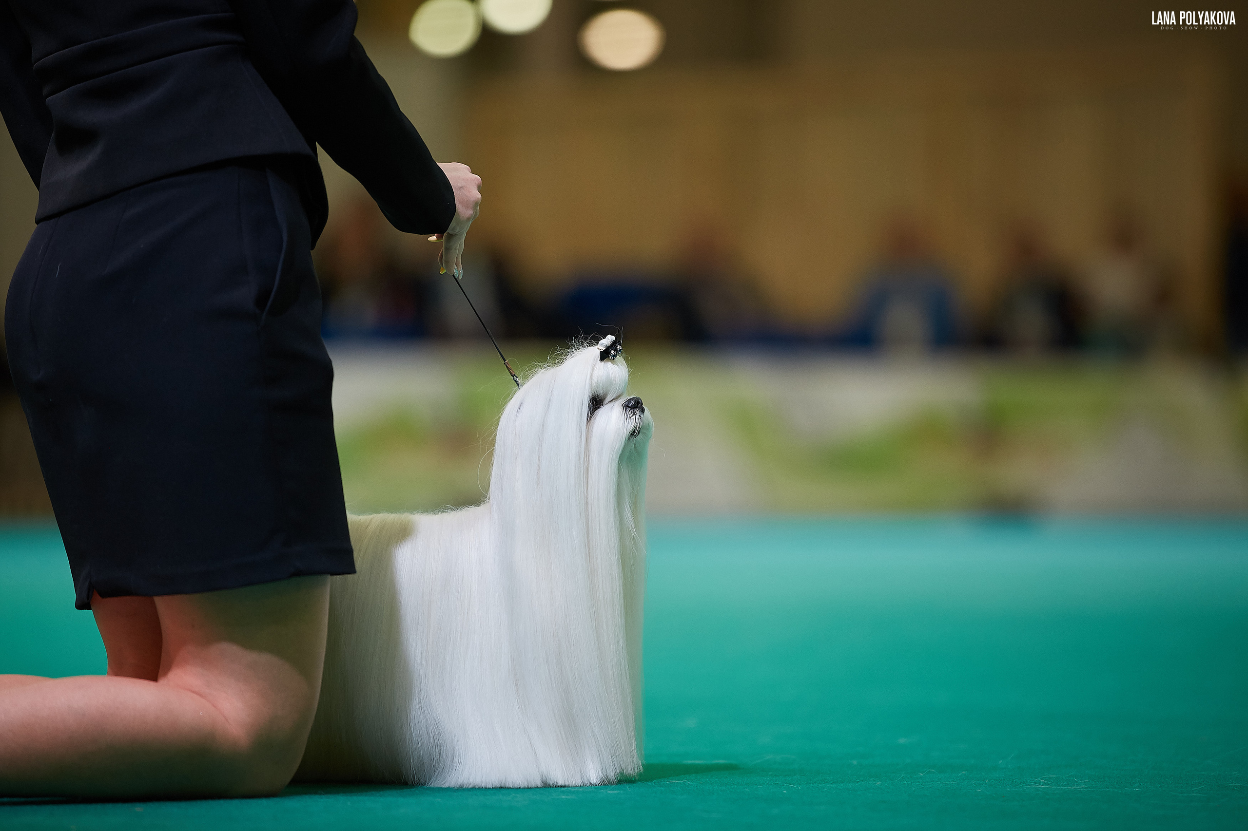 IDS “MAZOVER MEMORIAL 2019” 25-26.05.19