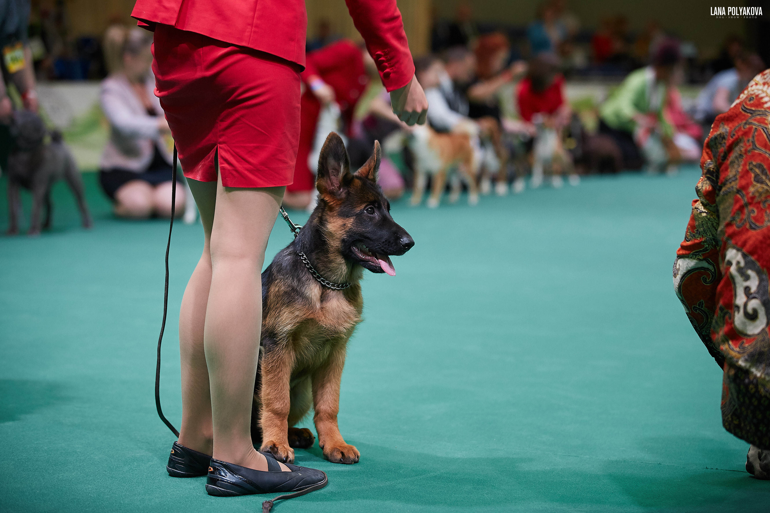 IDS “MAZOVER MEMORIAL 2019” 25-26.05.19