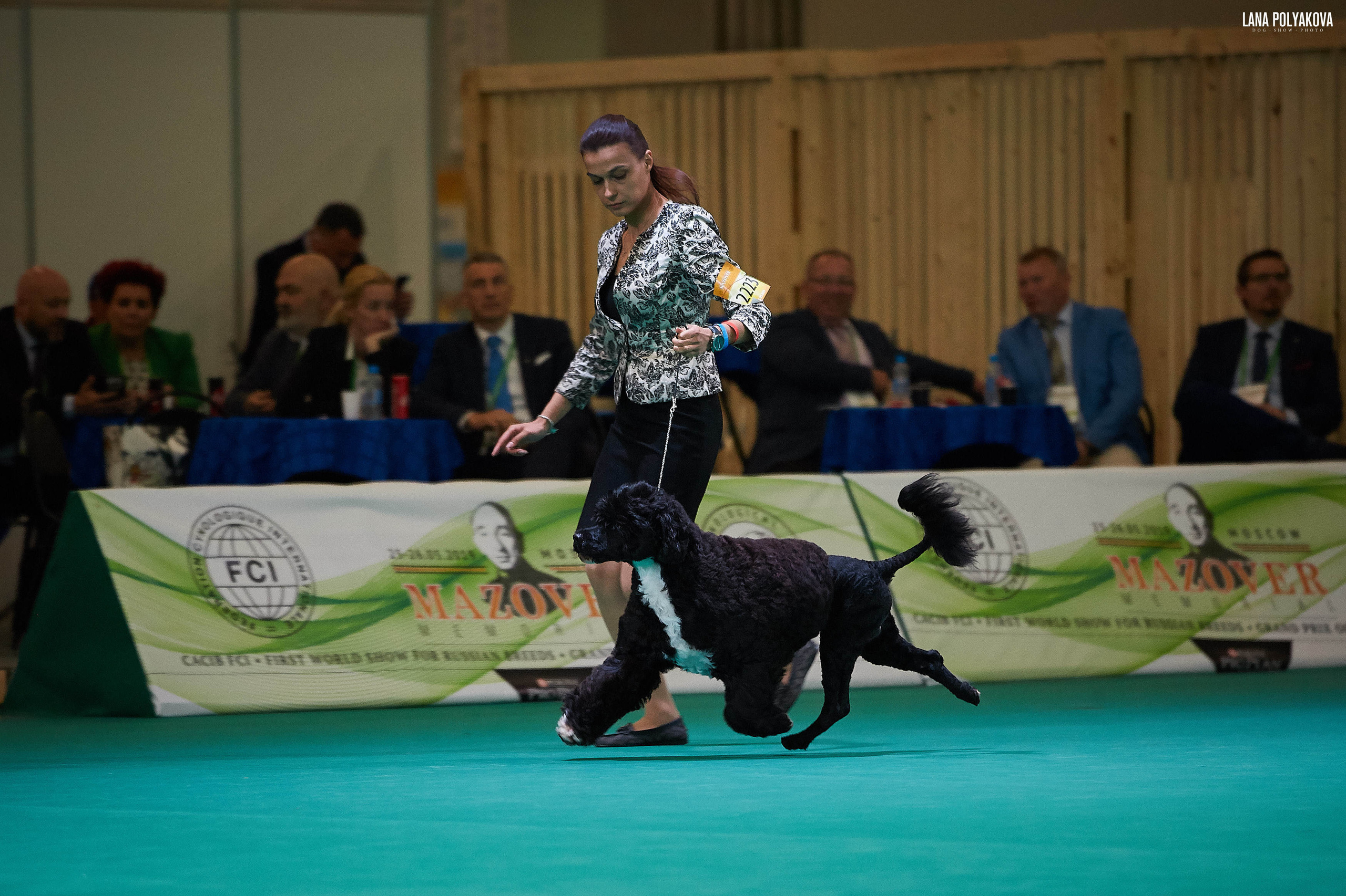 IDS “MAZOVER MEMORIAL 2019” 25-26.05.19