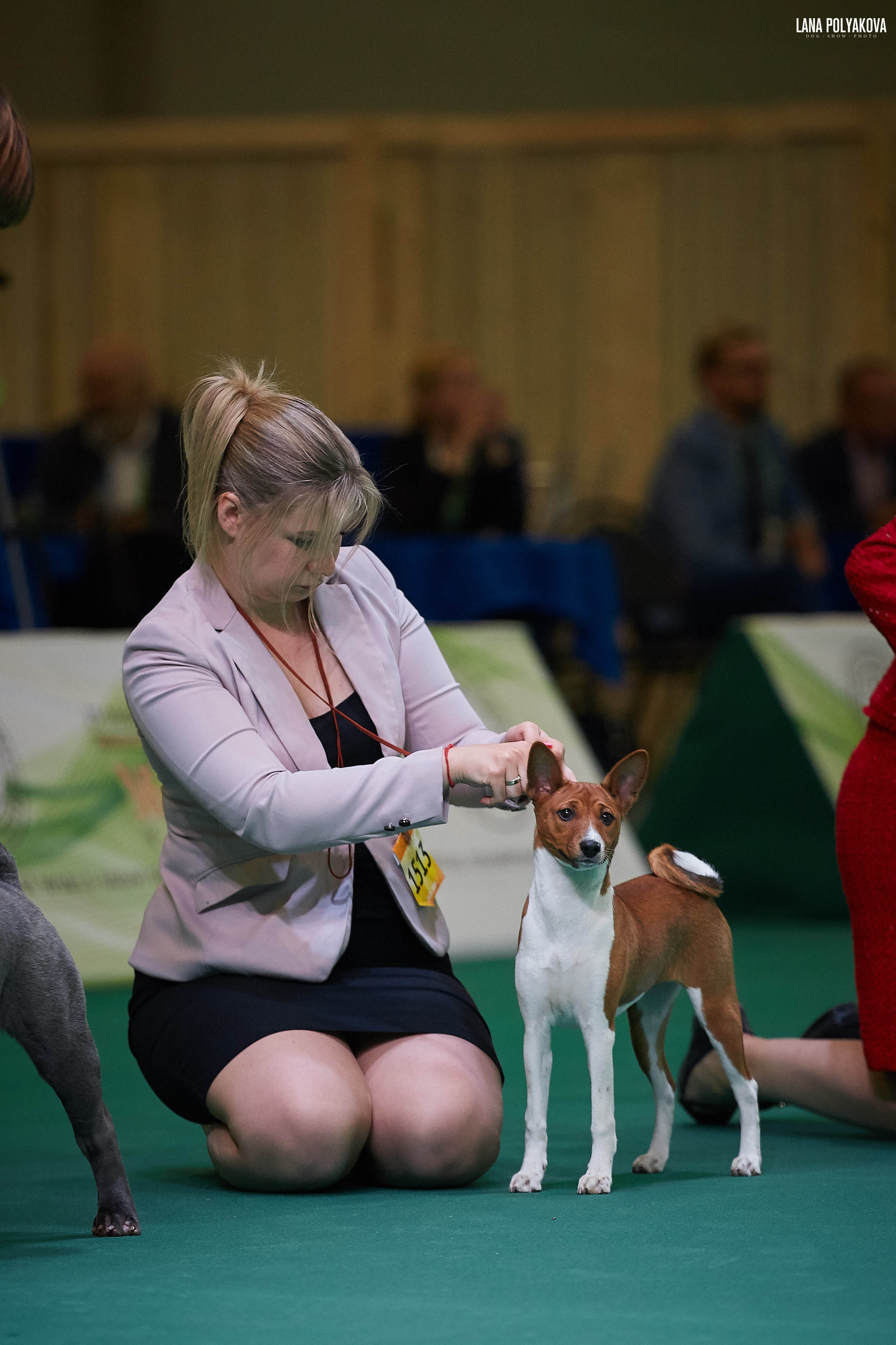 IDS “MAZOVER MEMORIAL 2019” 25-26.05.19