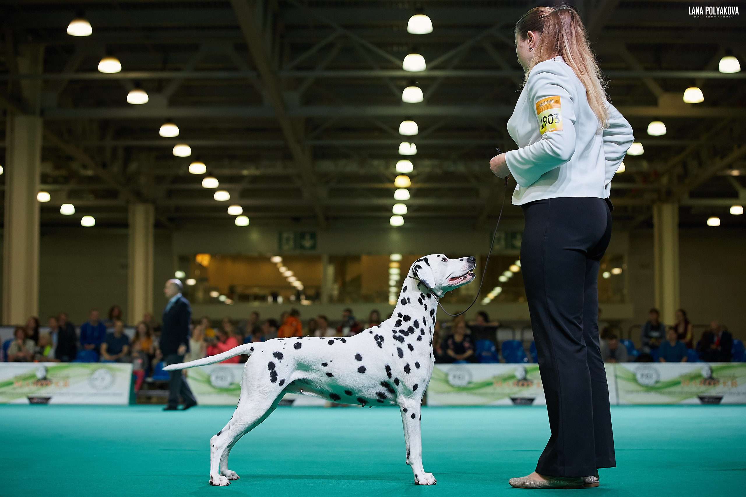 IDS “MAZOVER MEMORIAL 2019” 25-26.05.19