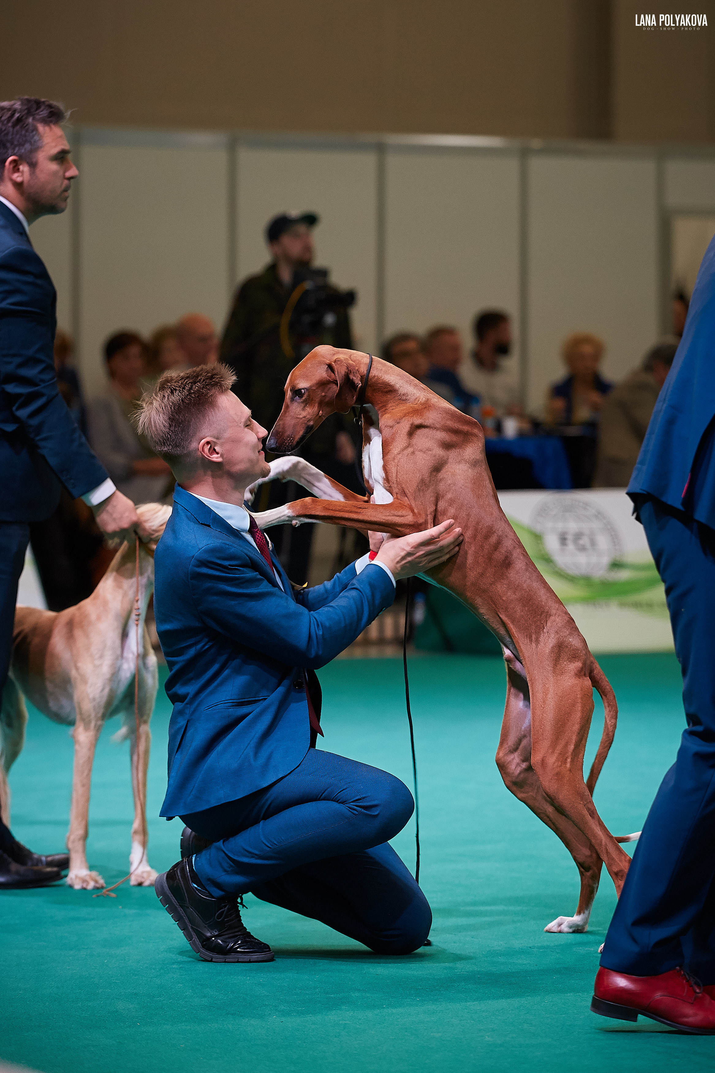 IDS “MAZOVER MEMORIAL 2019” 25-26.05.19