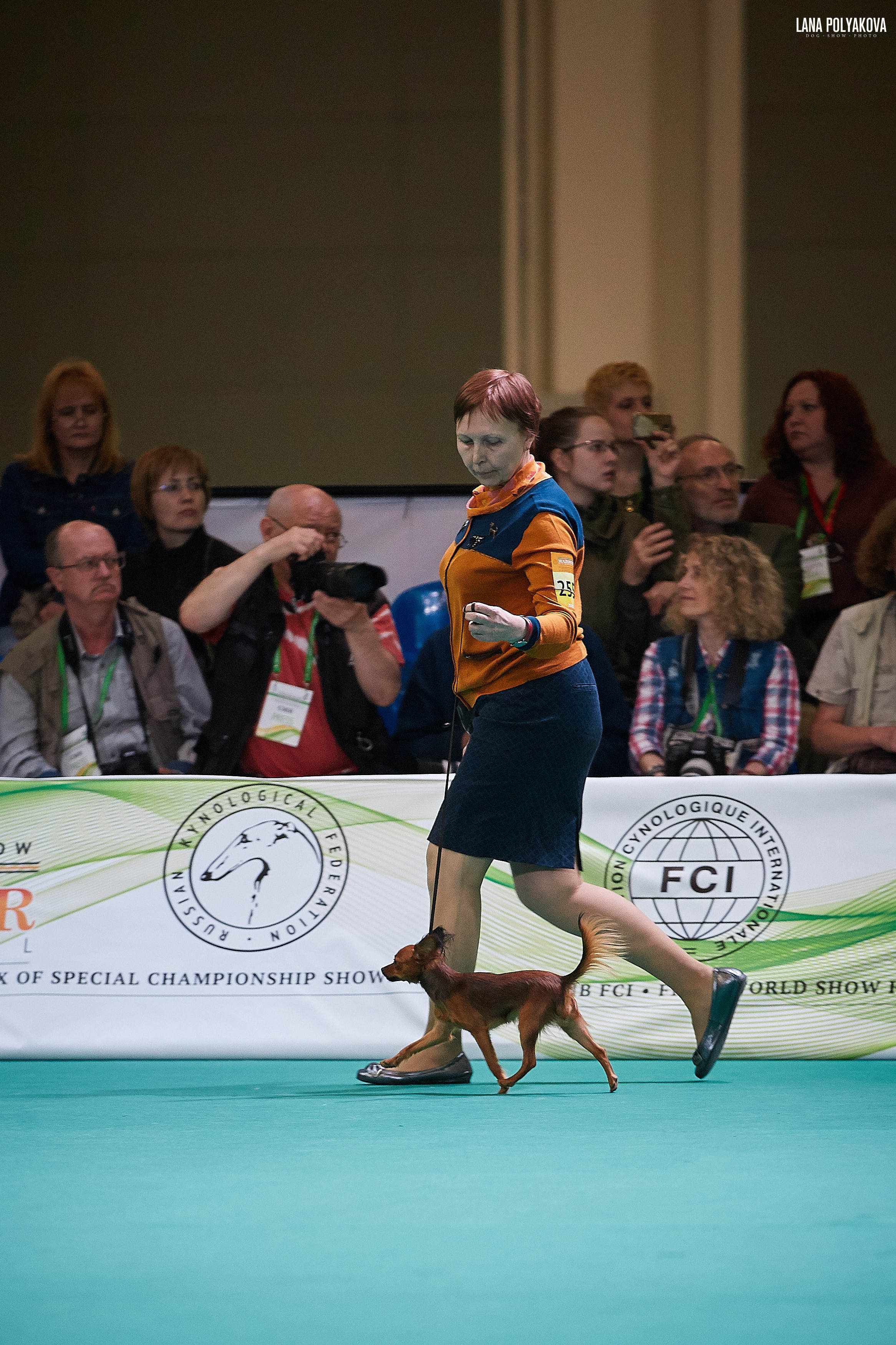 IDS “MAZOVER MEMORIAL 2019” 25-26.05.19