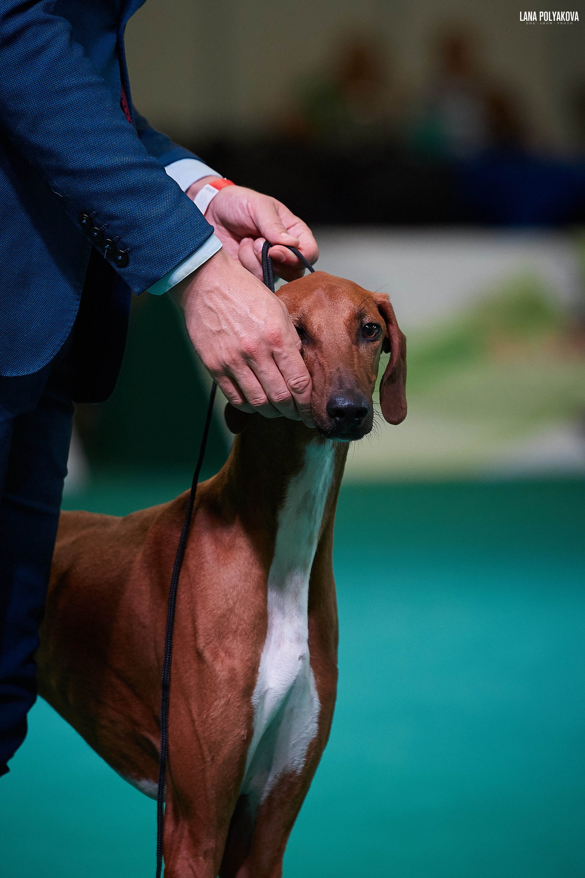 IDS “MAZOVER MEMORIAL 2019” 25-26.05.19