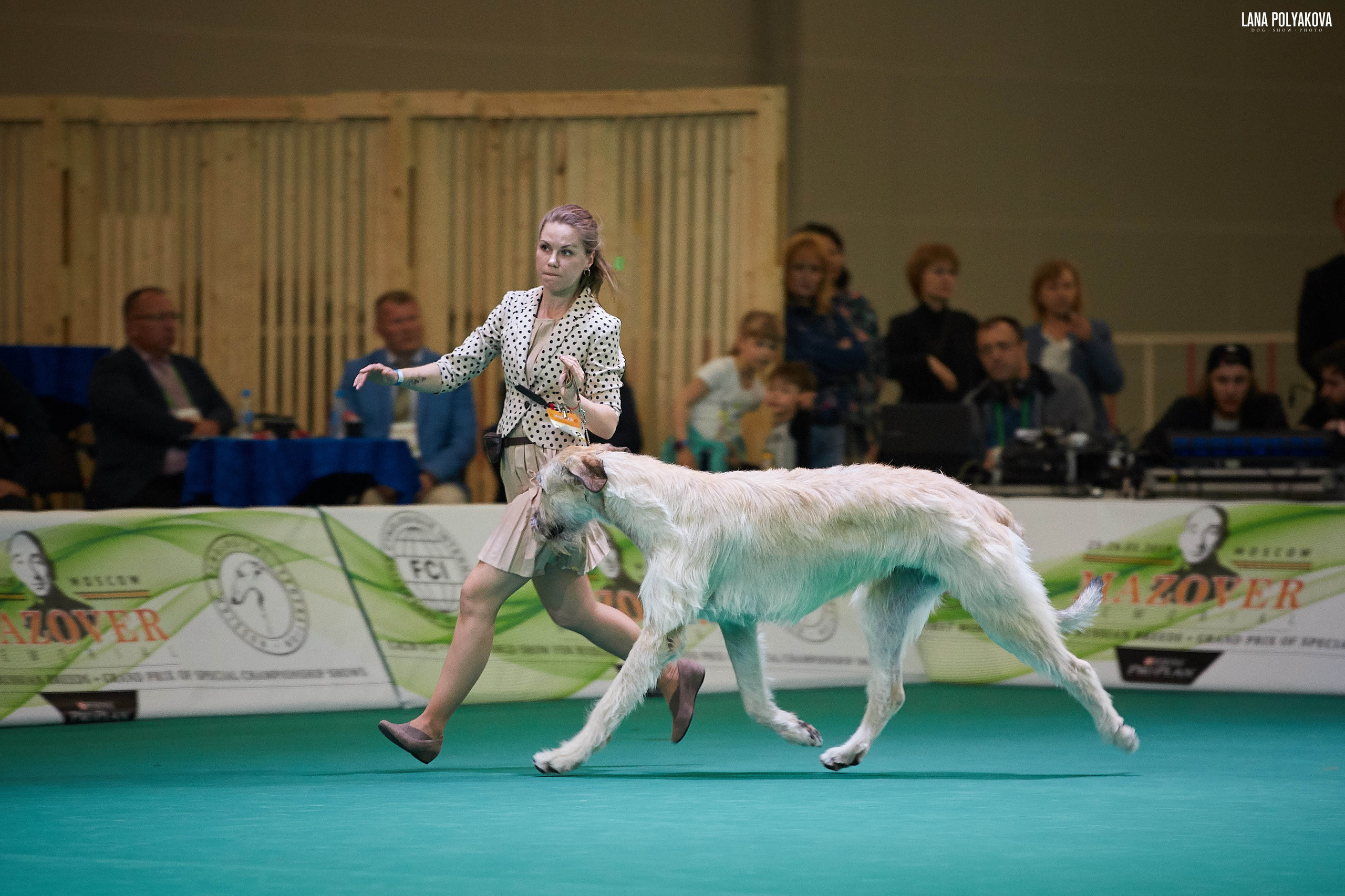 IDS “MAZOVER MEMORIAL 2019” 25-26.05.19