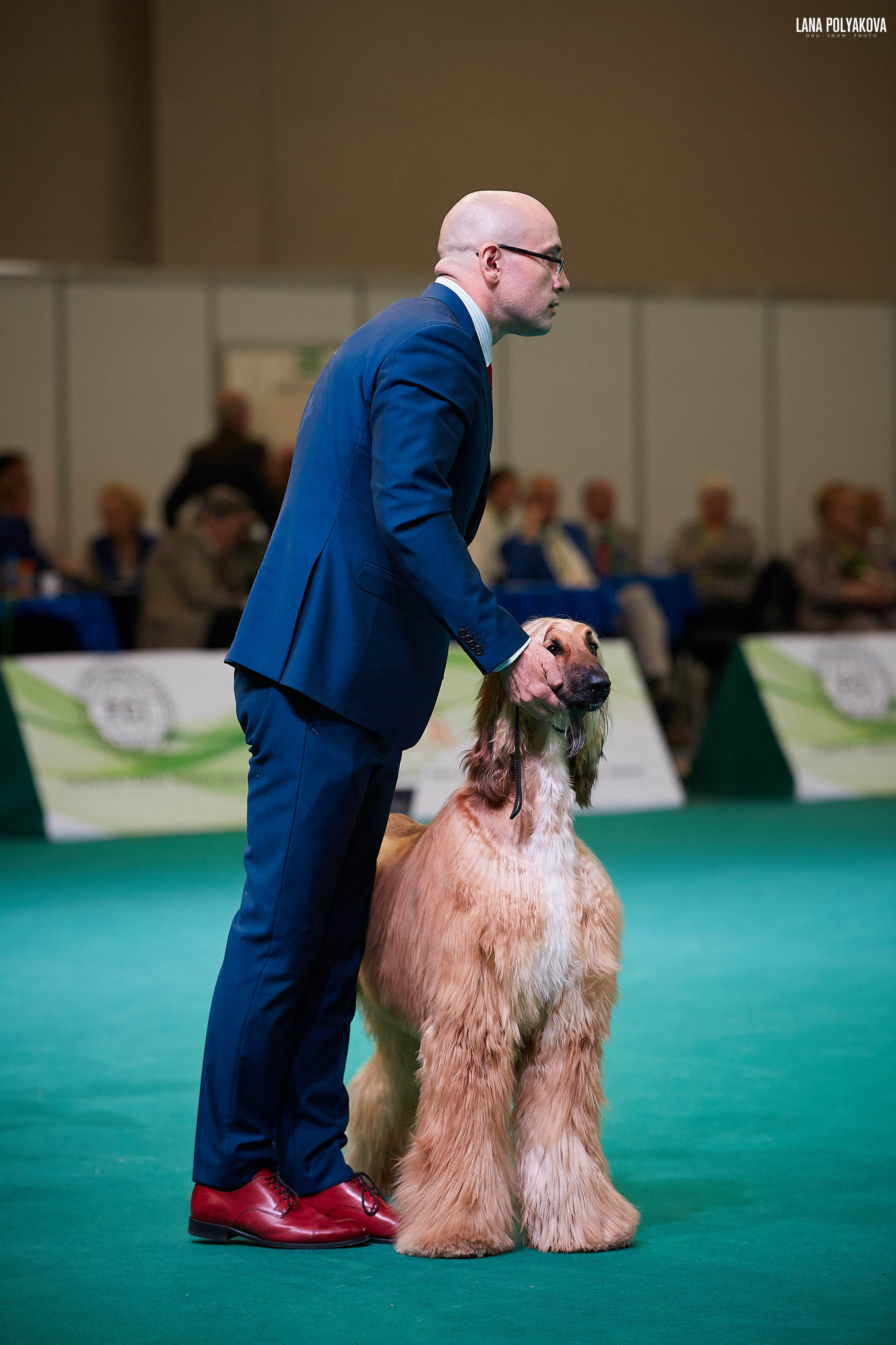 IDS “MAZOVER MEMORIAL 2019” 25-26.05.19