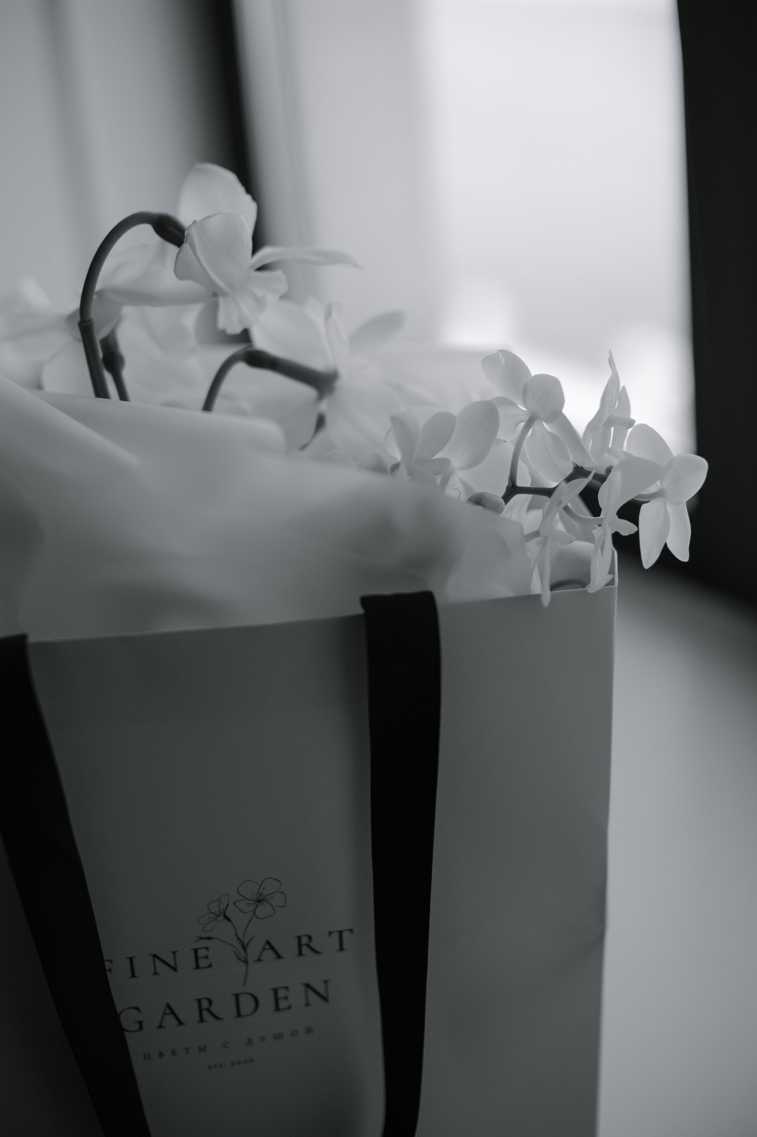 Натали & Павел. Свадебный фотограф Екатерина Тимукина