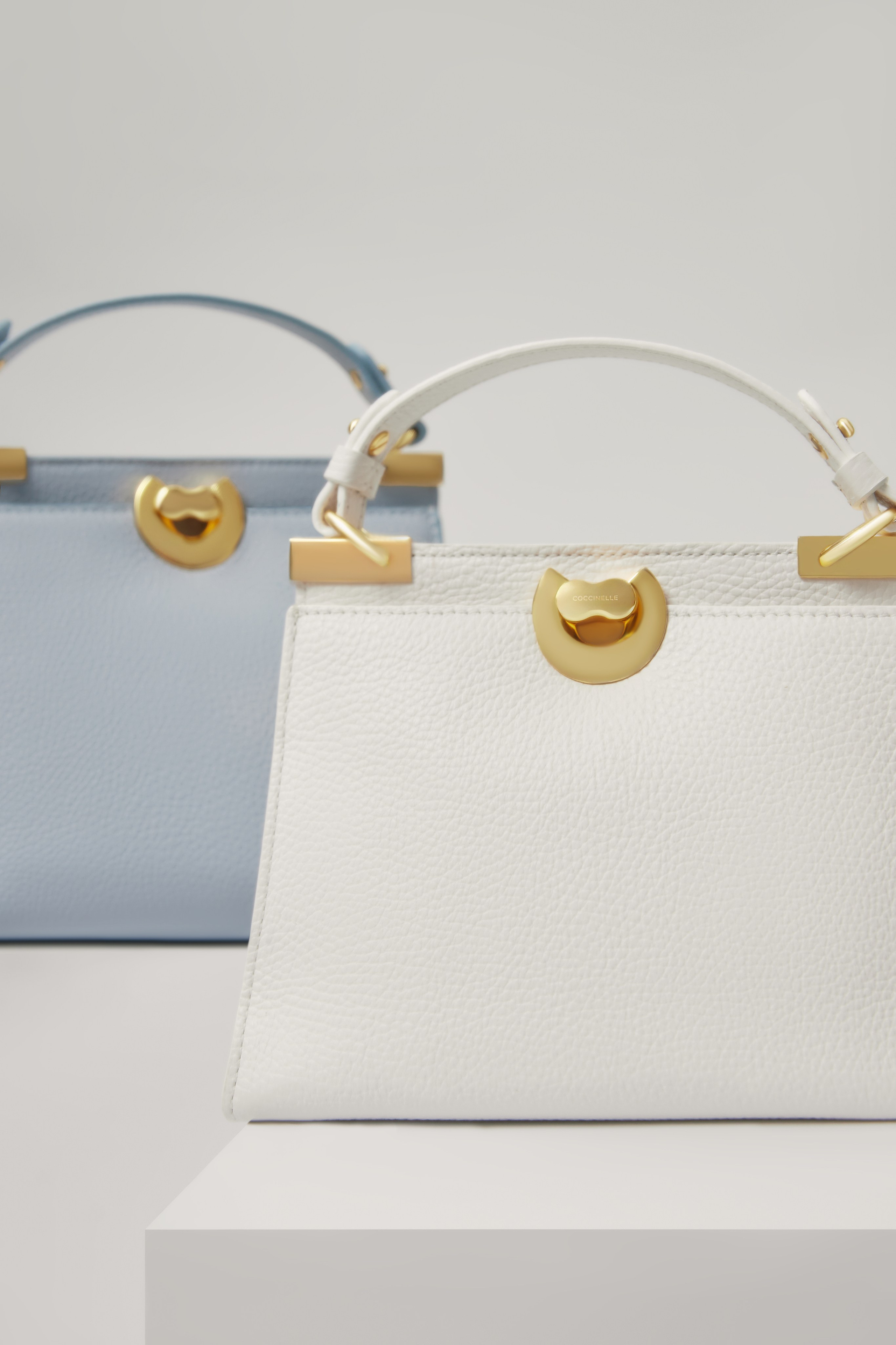 Coccinelli Bags. Dolgikh Production team