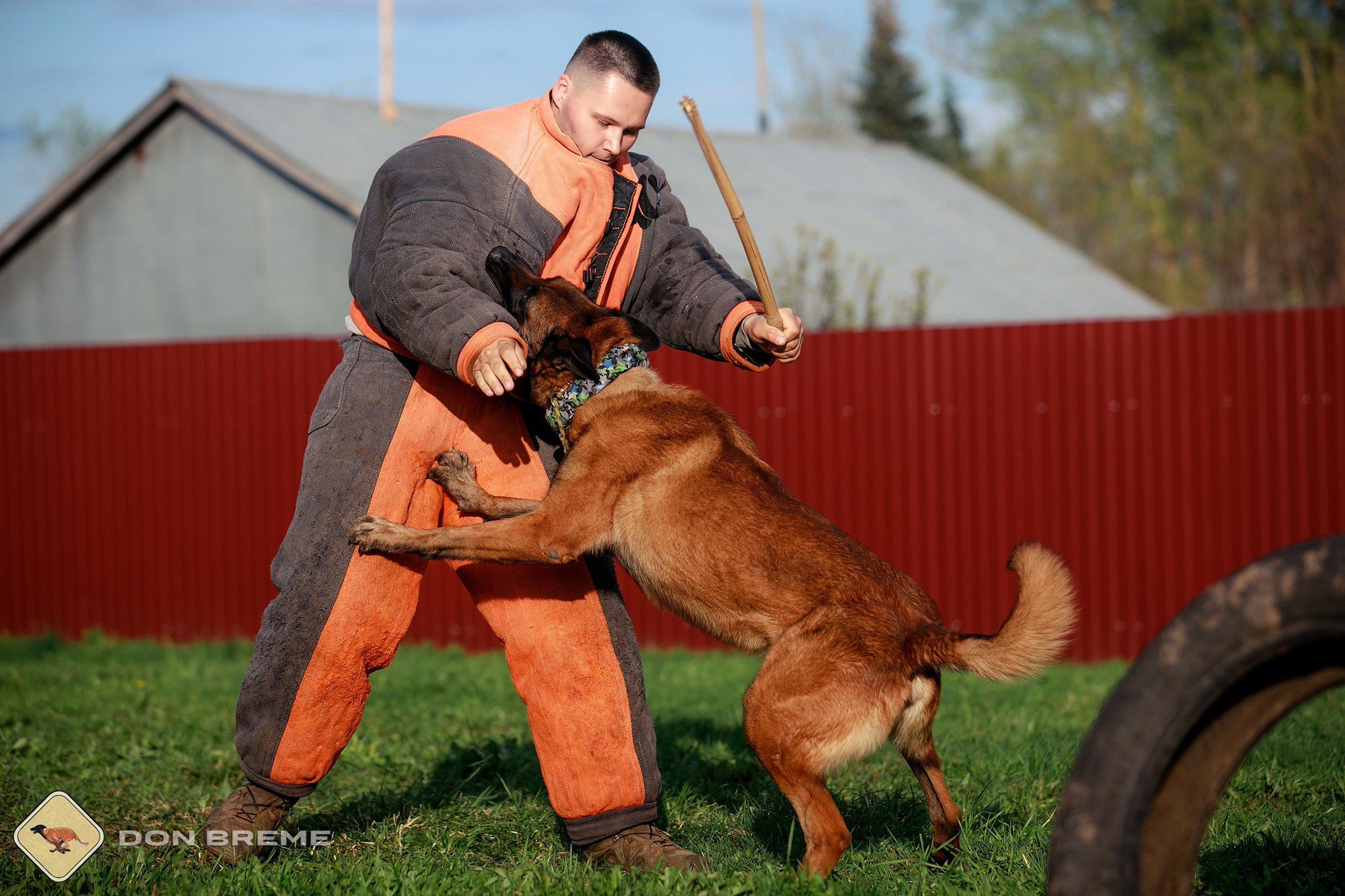 Семинар для фигурантов, день 2. Фотограф-анималист Mary Mart — Москва, Питер